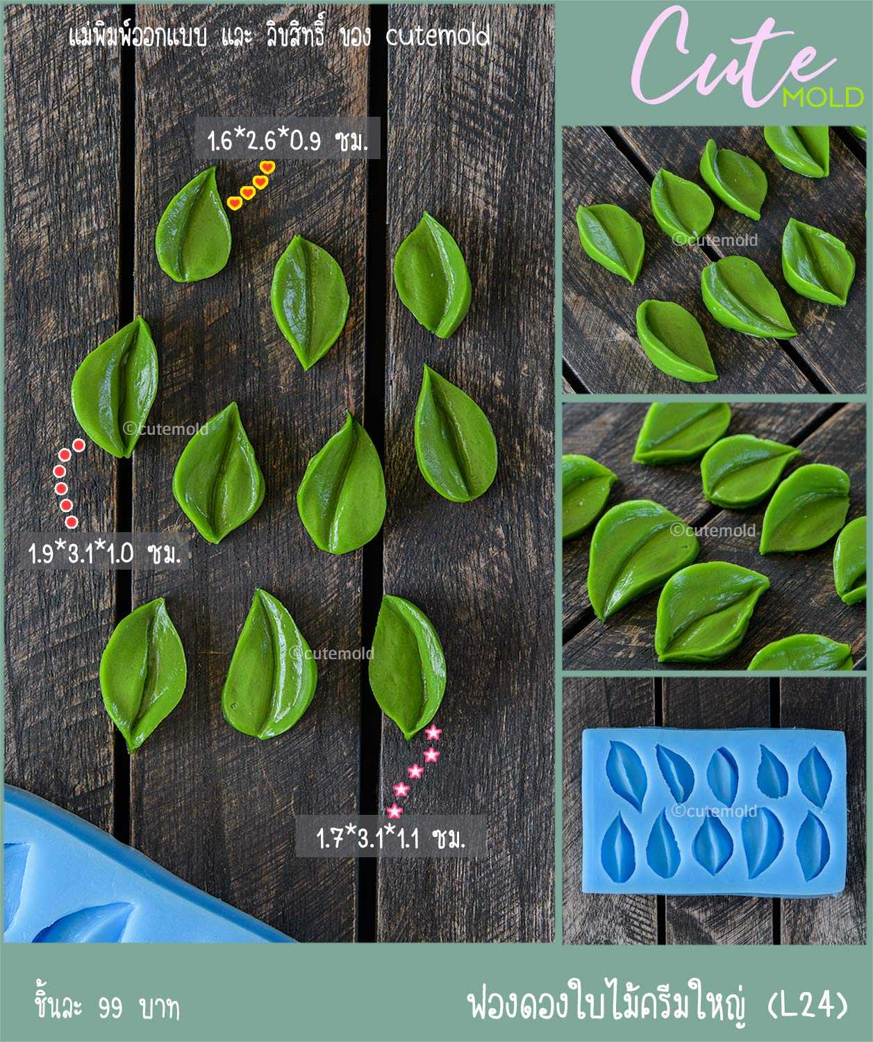 ฟองดองใบไม้ครีมใหญ่ L24