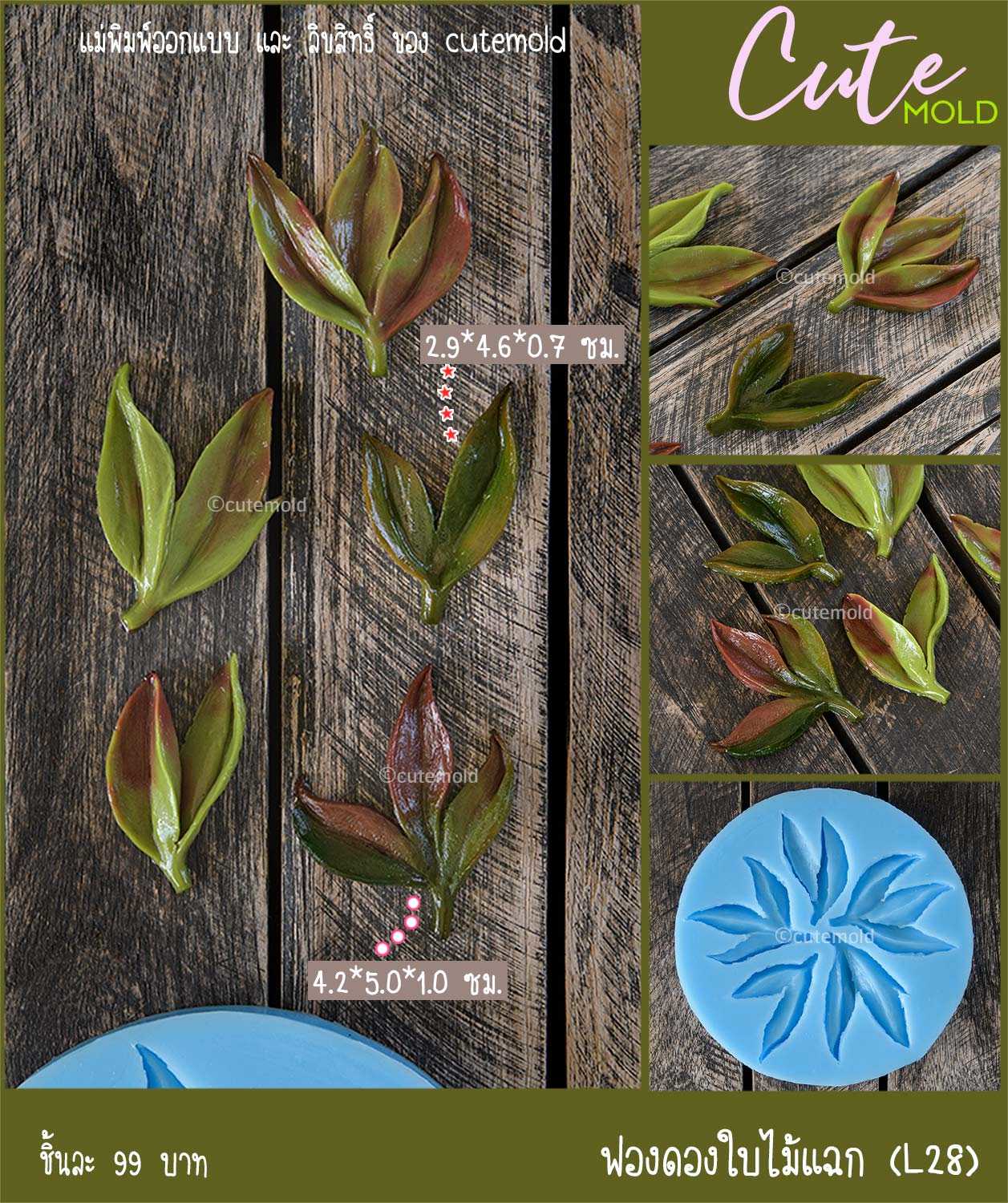 ฟองดองใบไม้แฉก L28