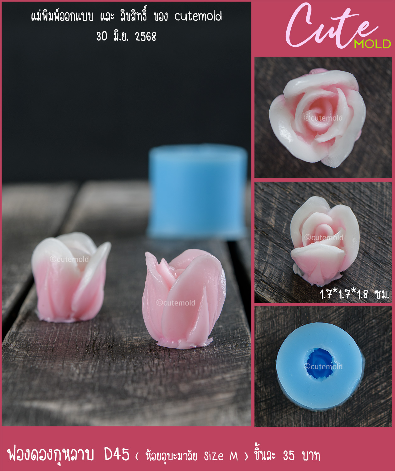 ฟองดองกุหลาบ D45