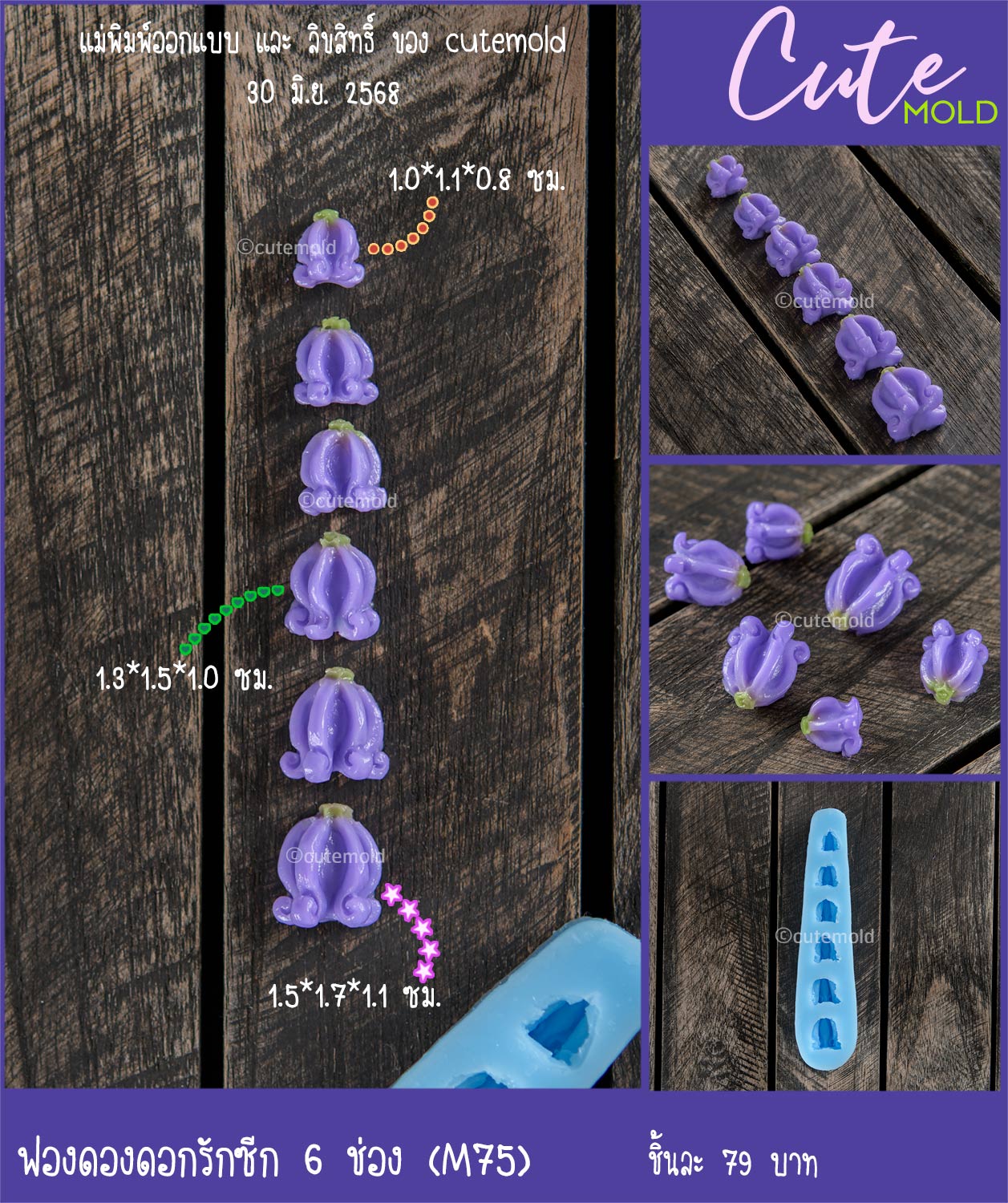 ฟองดองดอกรักซีก 6 ช่อง M75