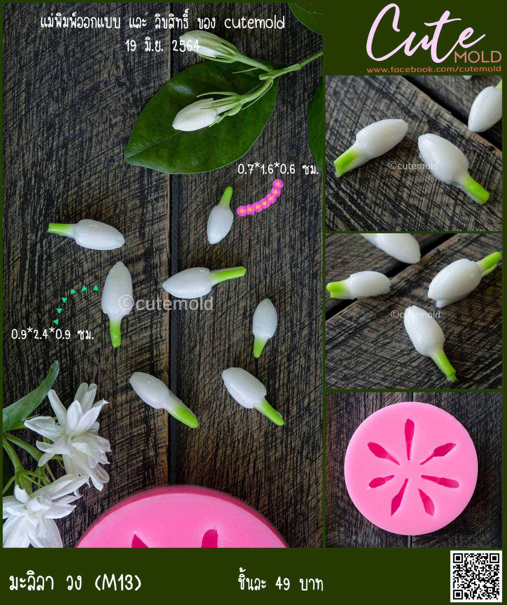 ฟองดองมะลิลา วง M13