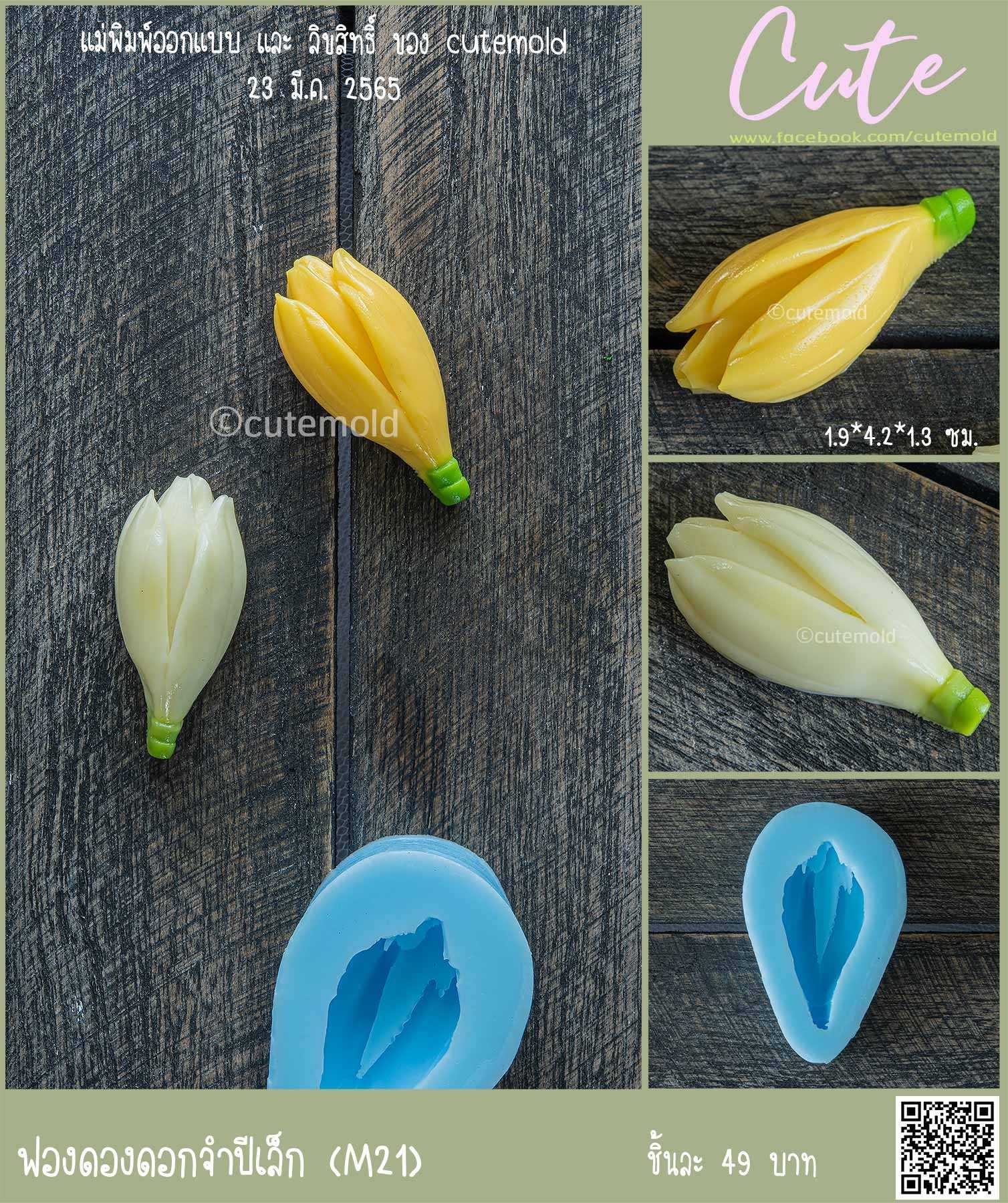 ฟองดองดอกจำปีเล็ก M21