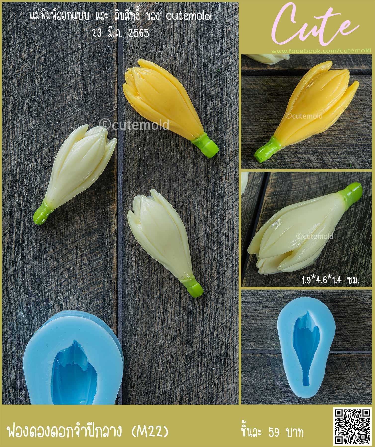 ฟองดองดอกจำปีกลาง M22