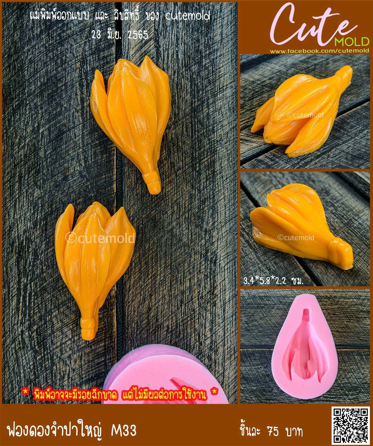 ฟองดองจำปาใหญ่ M33