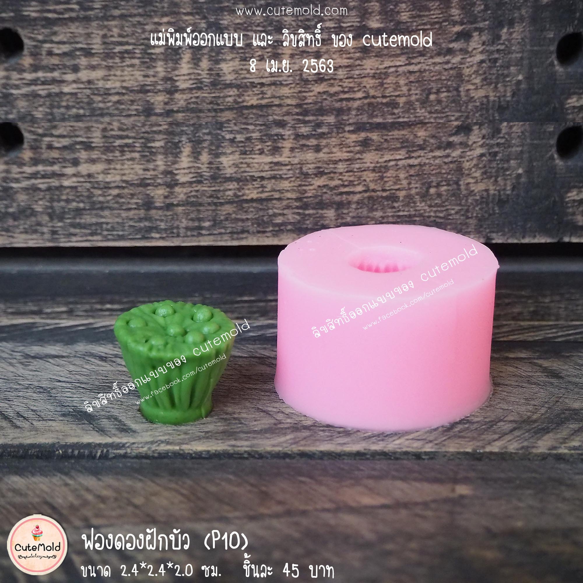 ฟองดองฝักบัว P10