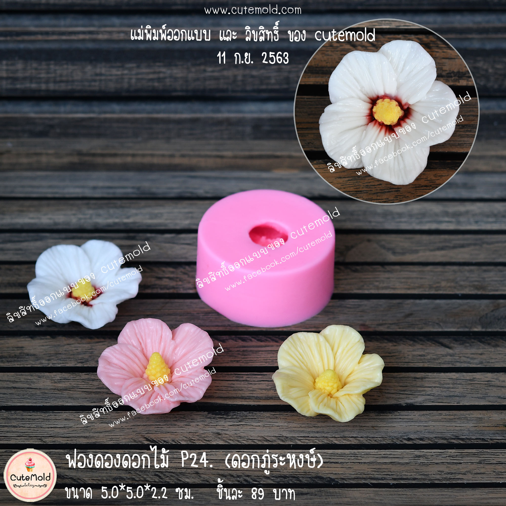 ฟองดองดอกภู่ระหงษ์ P24