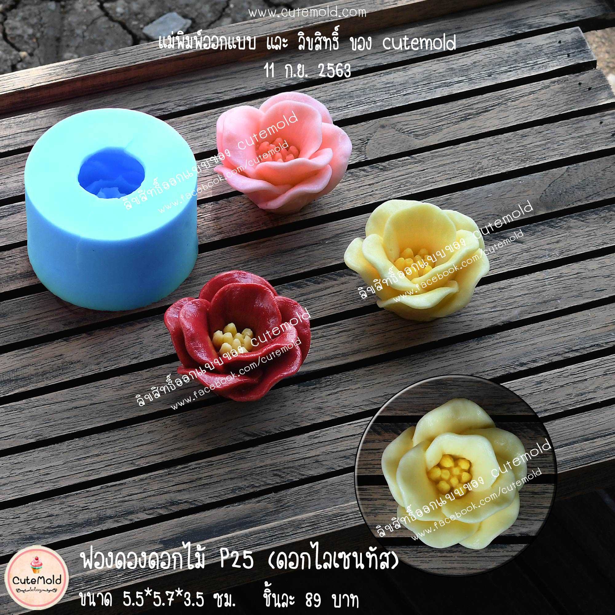 ฟองดองดอกไลเซนทัส P25.