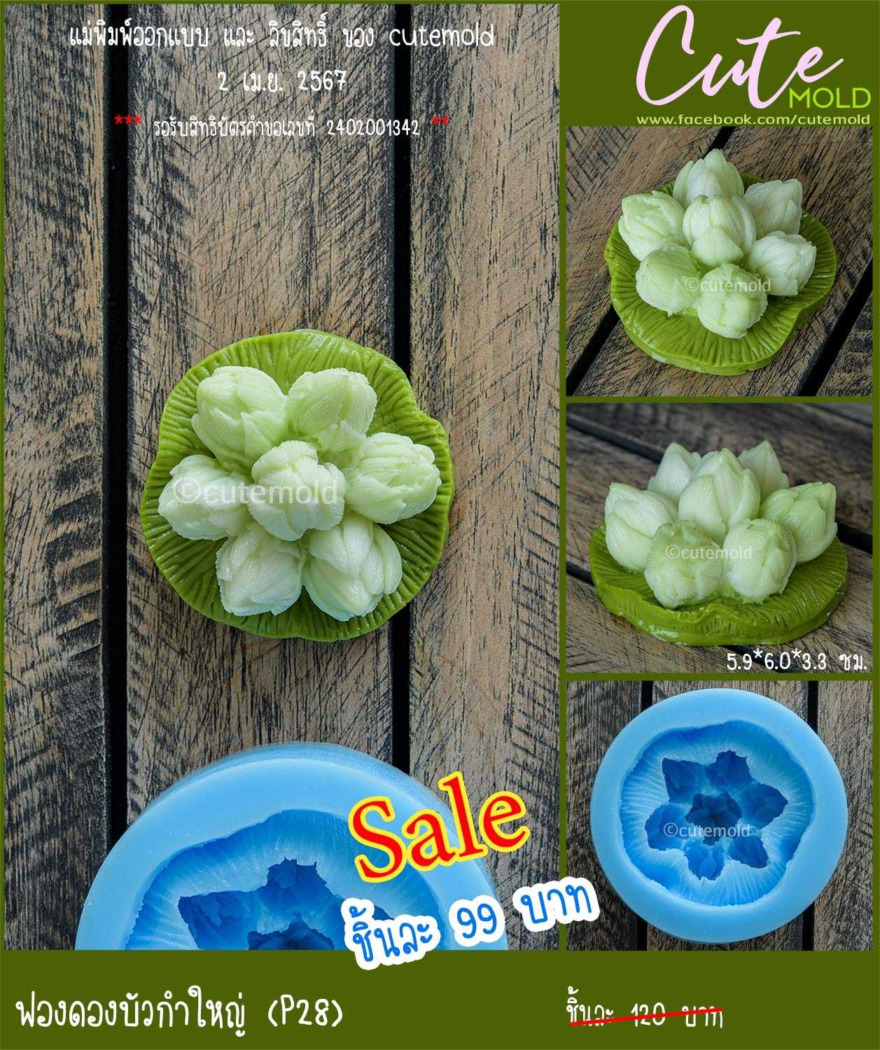 ฟองดองบัวกำใหญ่ P28