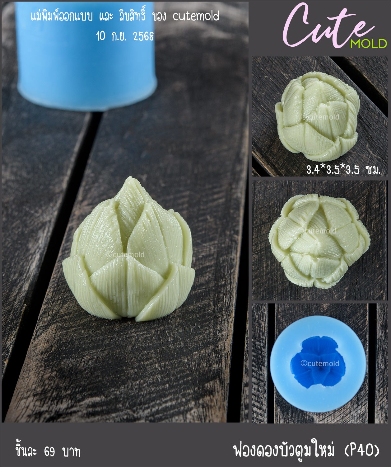 ฟองดองบัวตูมใหม่ P40