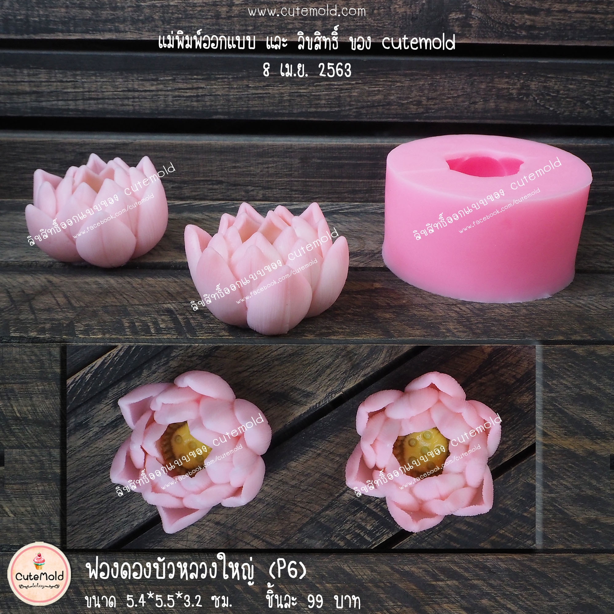 ฟองดองบัวหลวงใหญ่ P6