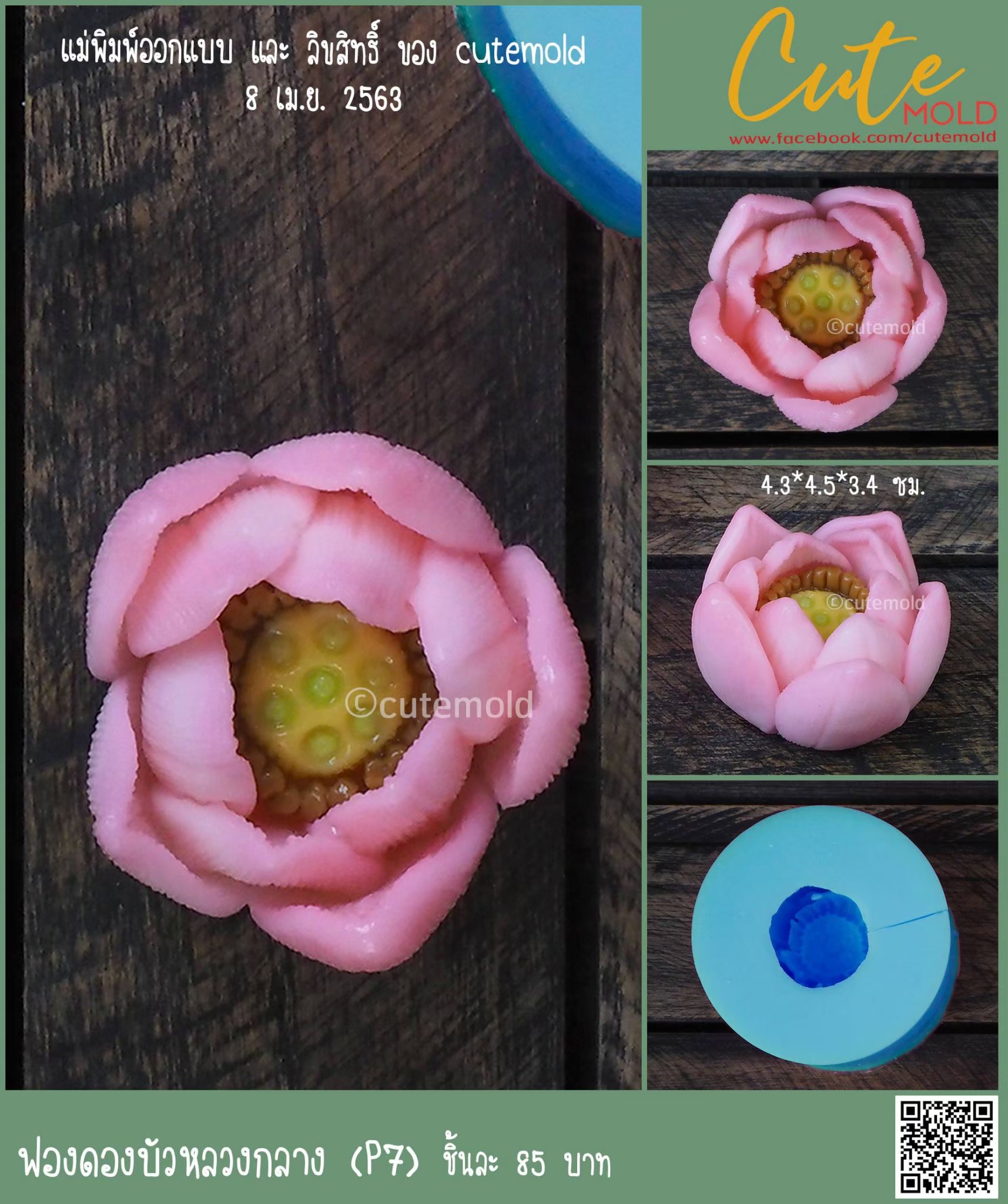  ฟองดองบัวหลวงกลาง P7