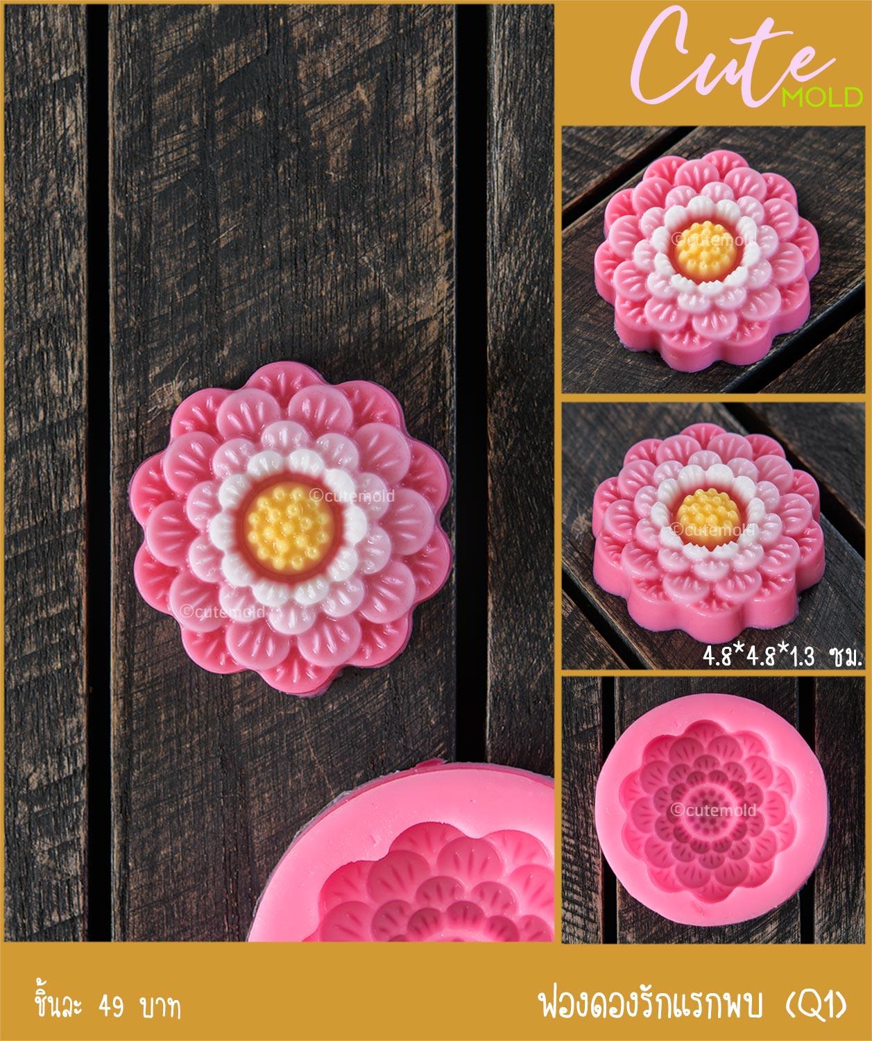 ฟองดองรักแรกพบ Q1