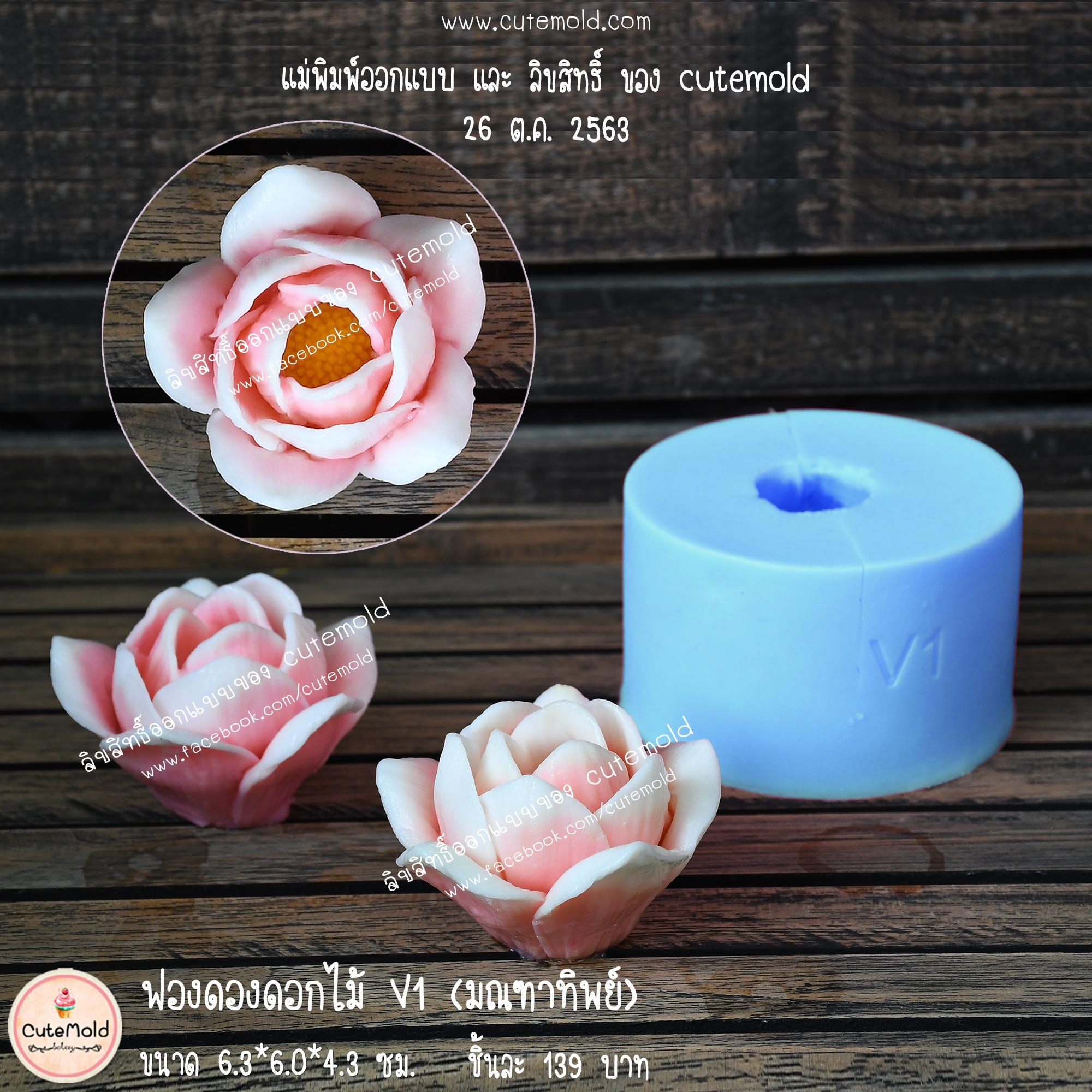 ฟองดองดอกมณฑาทิพย์ V1