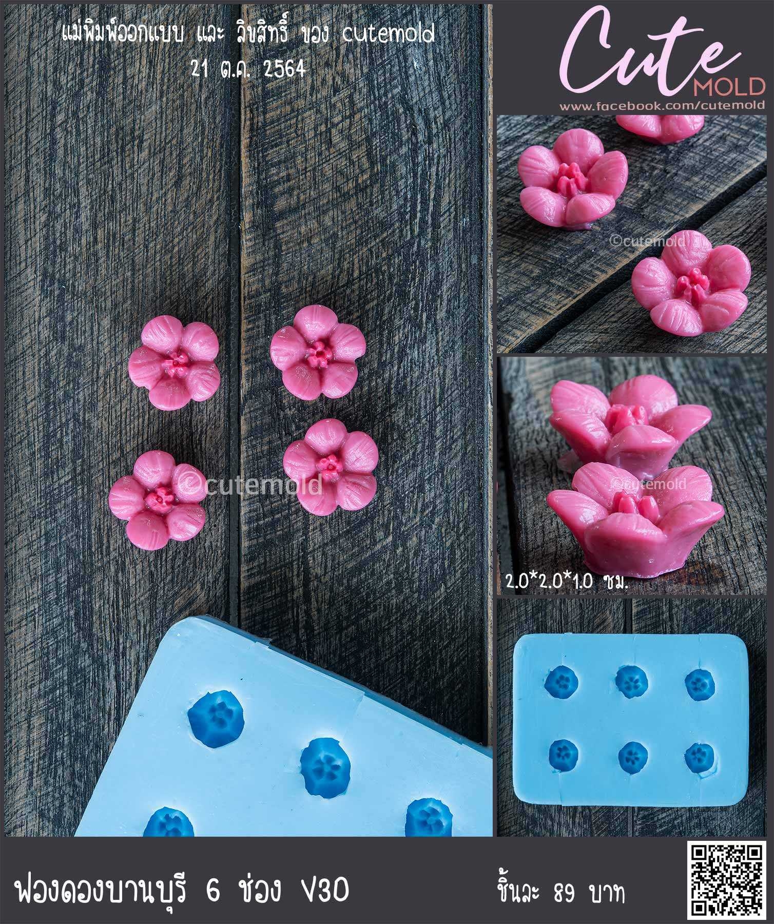 ฟองดองบานบุรี  6 ช่อง V30