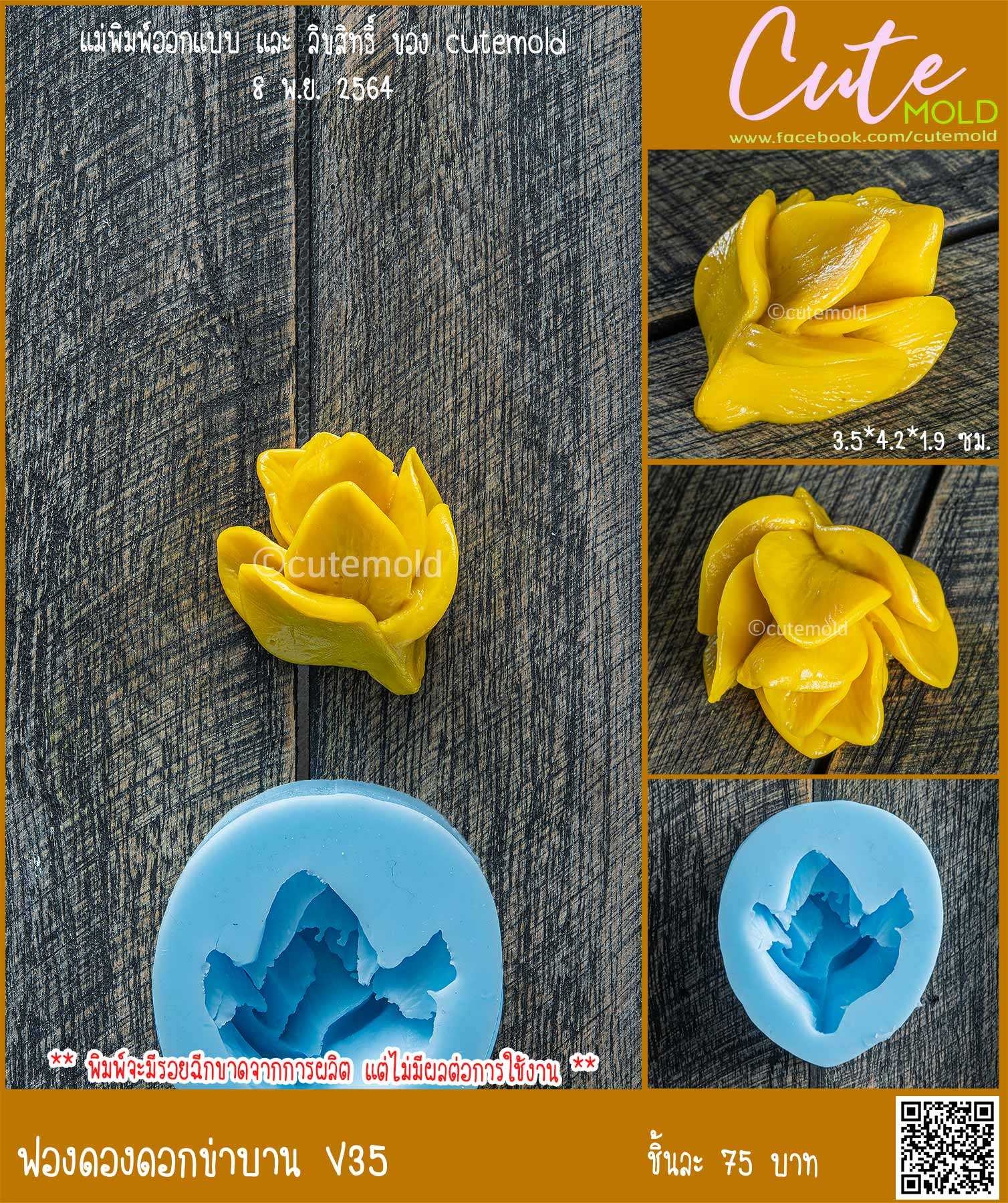 ฟองดองดอกข่าบาน V35