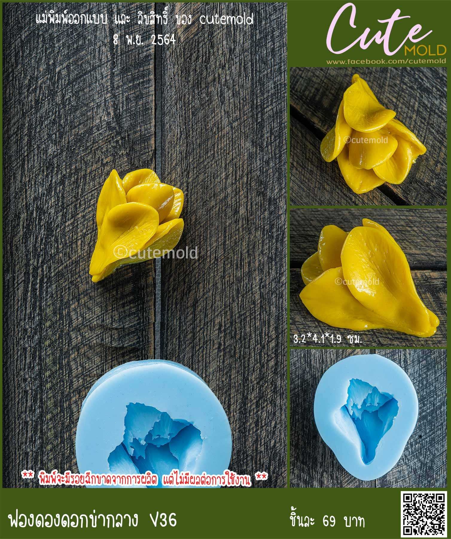 ฟองดองดอกข่ากลาง V36