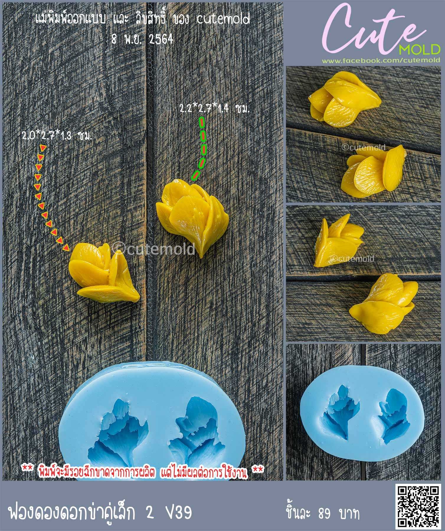 ฟองดองดอกข่าคู่เล็ก 2 V39