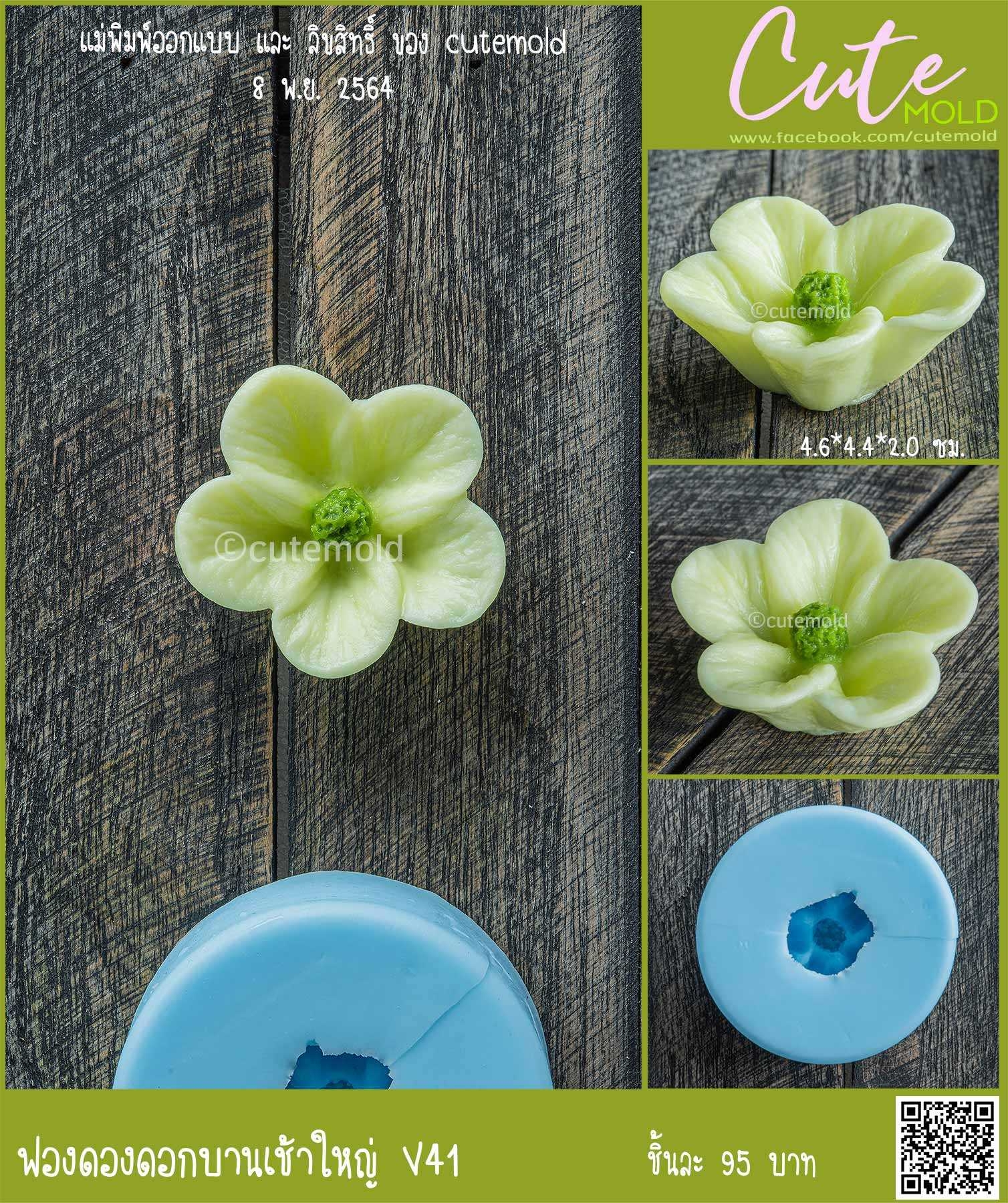 ฟองดองดอกบานเช้าใหญ่ V41