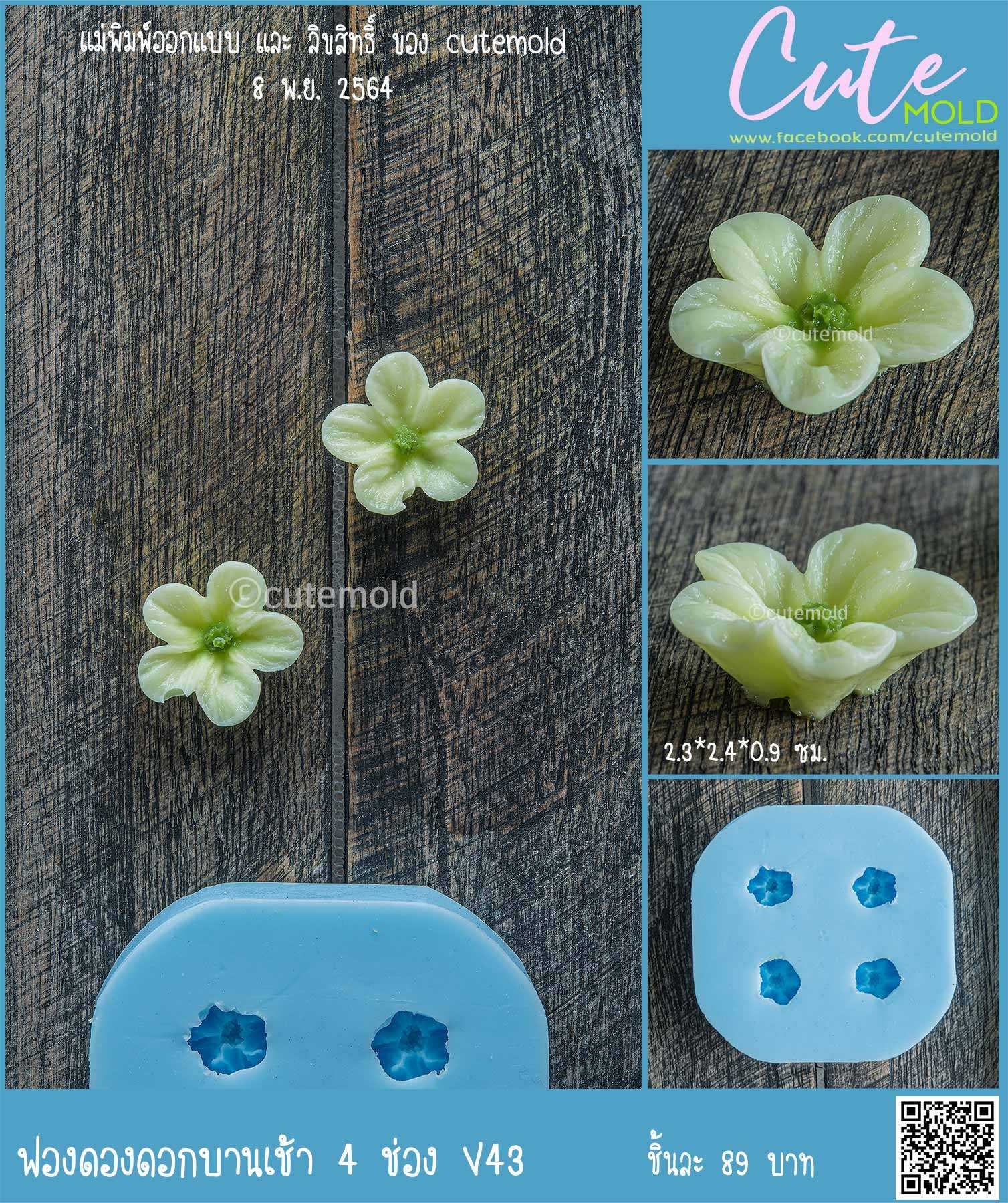 ฟองดองดอกบานเช้า 4 ช่อง V43