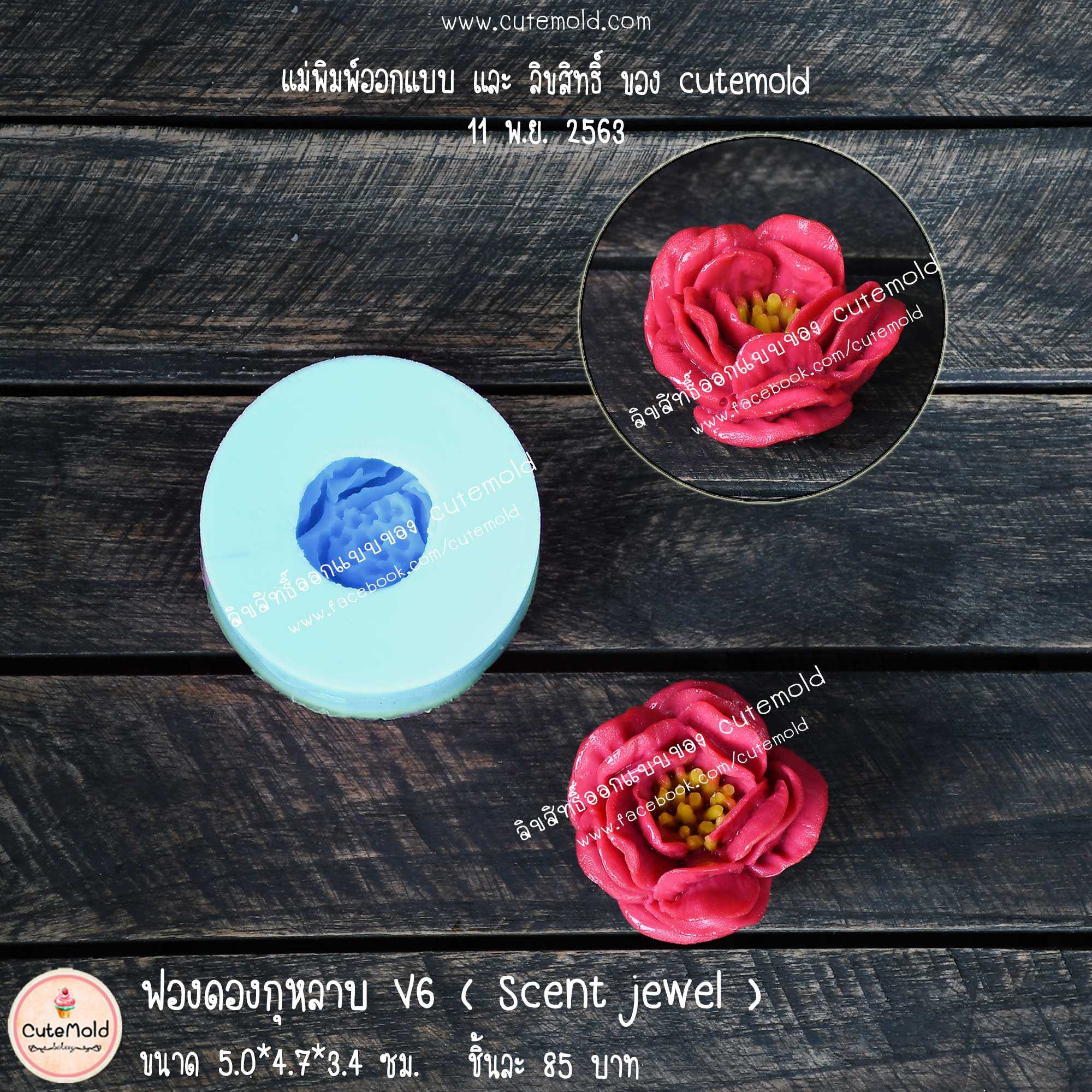 ฟองดองกุหลาบ V6