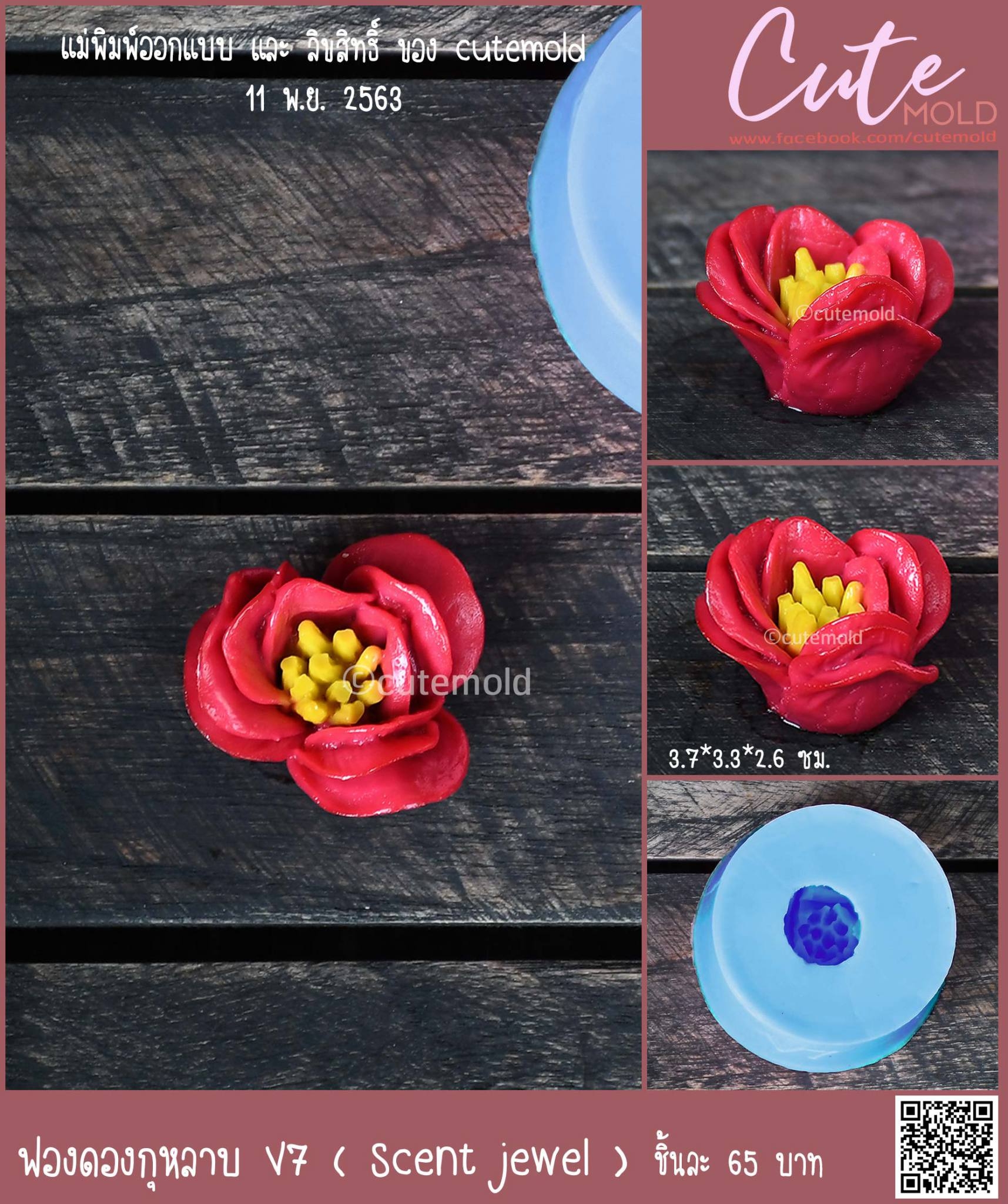 ฟองดองกุหลาบ V7