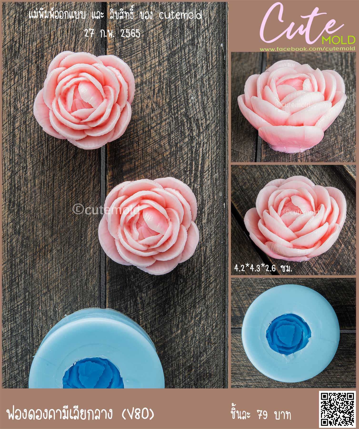 ฟองดองคามีเลียกลาง V80