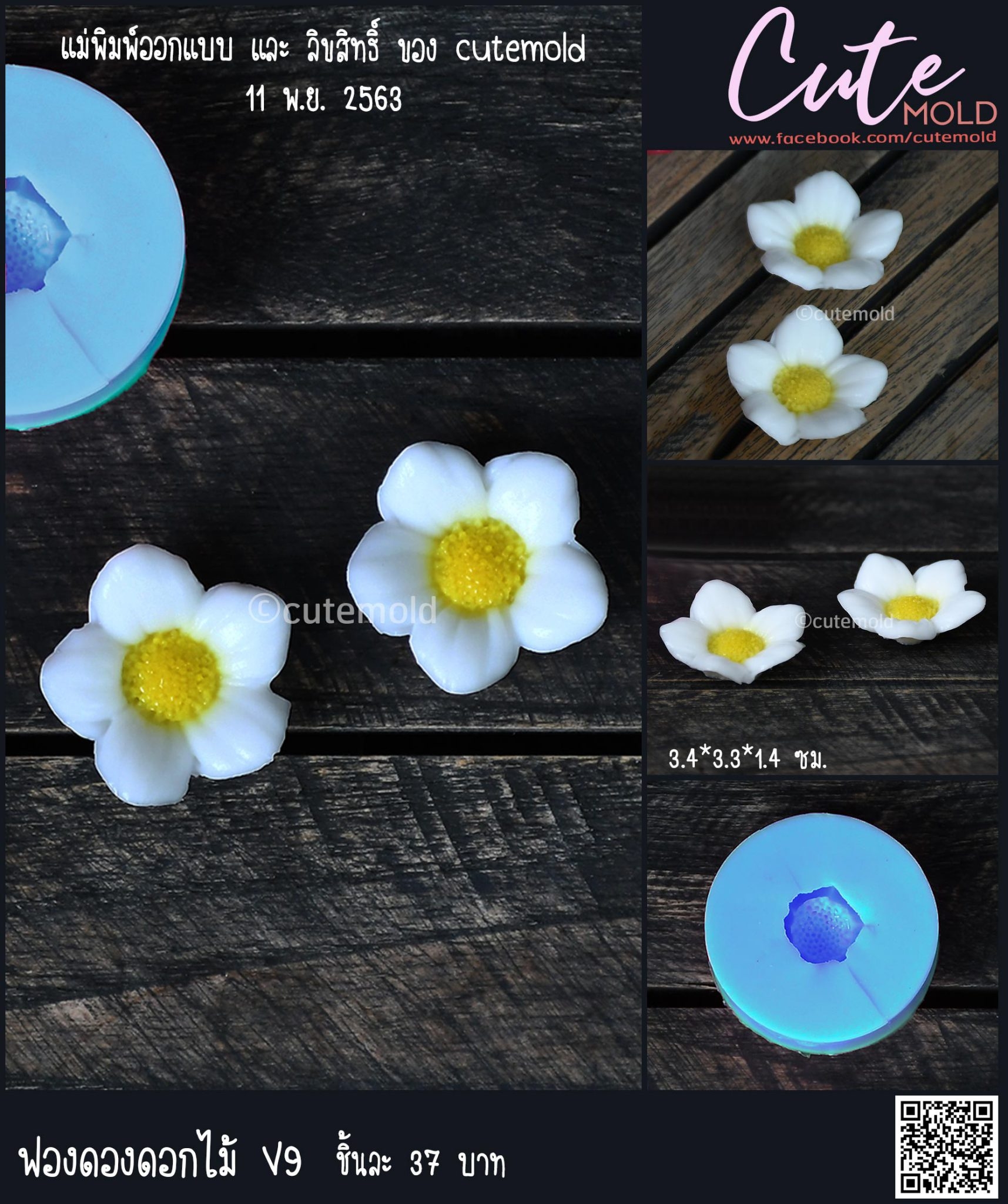 ฟองดองดอกไม้  V9