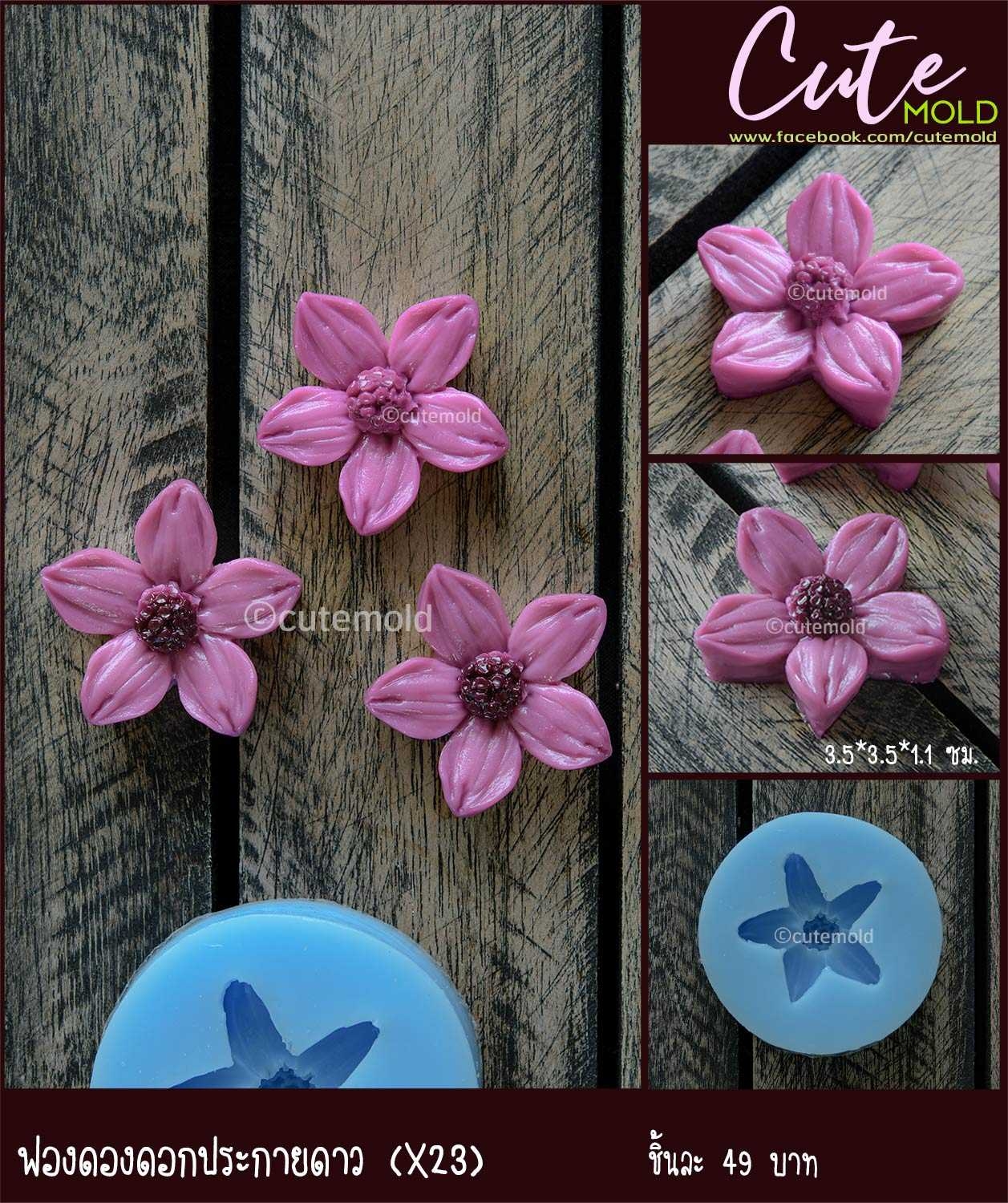 ฟองดองดอกประกายดาว X23