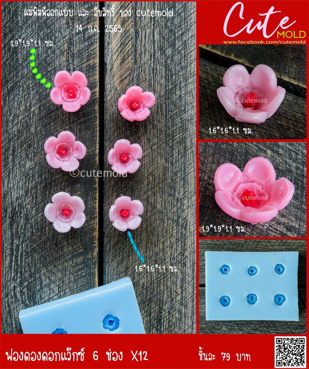 ฟองดองดอกแว๊กซ์ 6 ช่อง X12