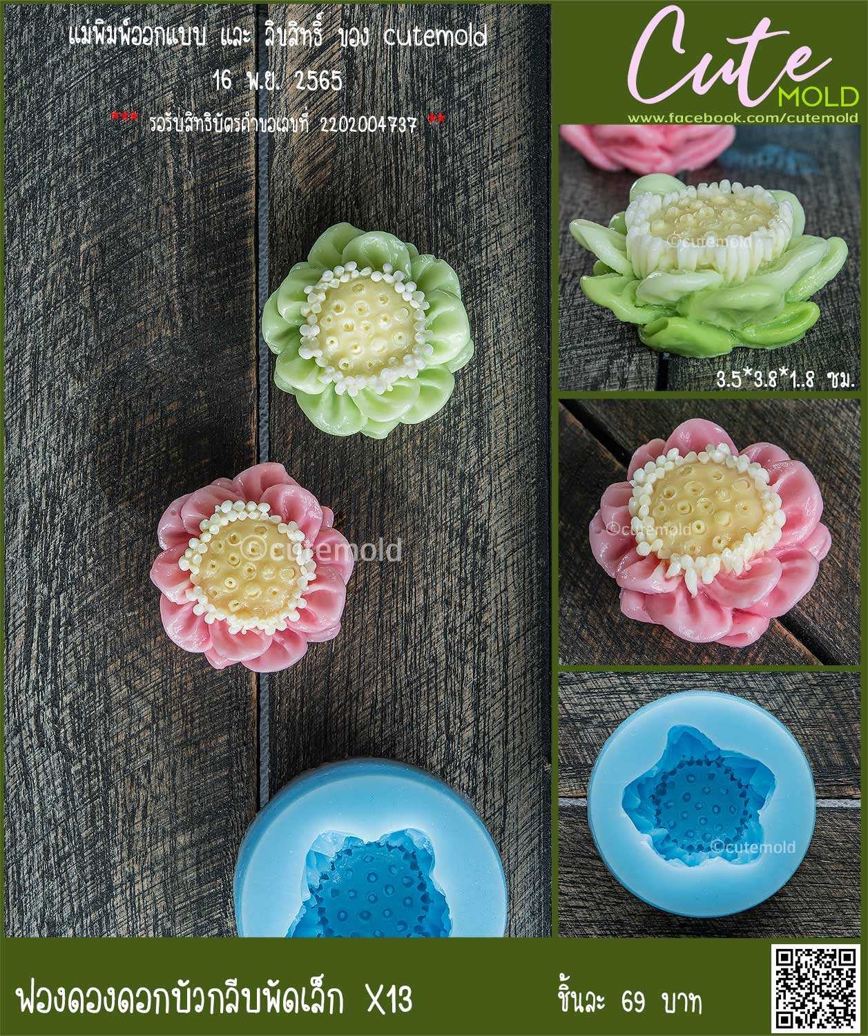 ฟองดองดอกบัวกลีบพัดเล็ก X13