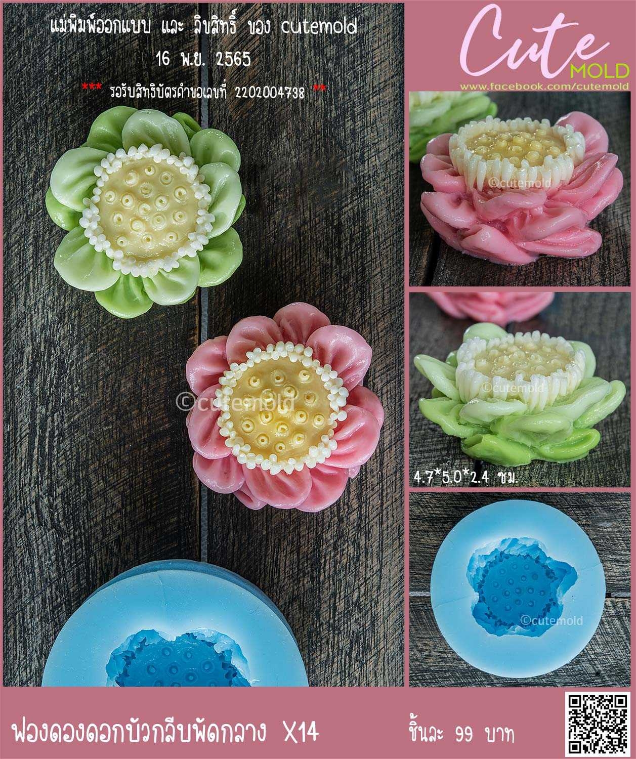 ฟองดองดอกบัวกลีบพัดกลาง X14