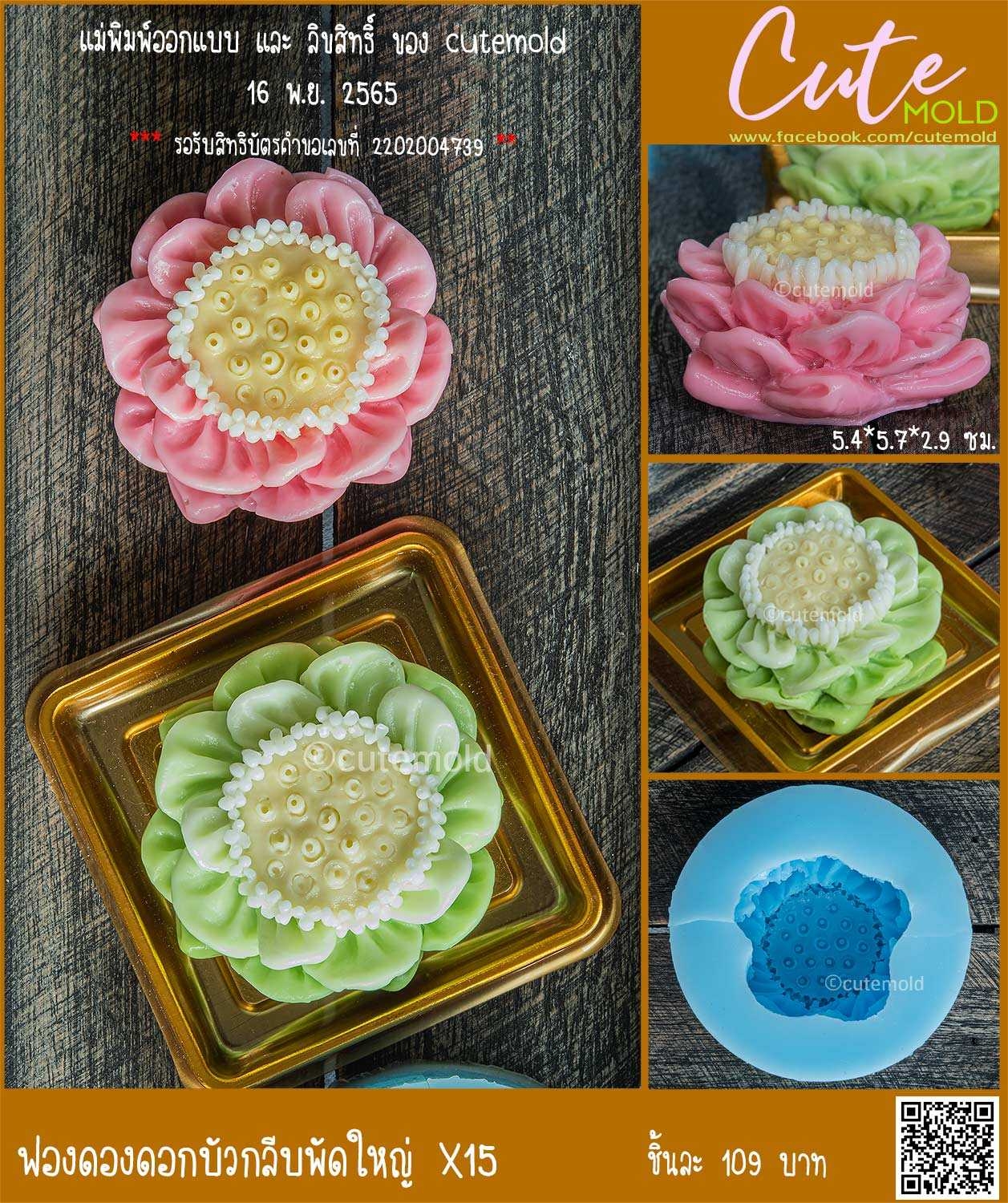 ฟองดองดอกบัวกลีบพัดใหญ่ X15