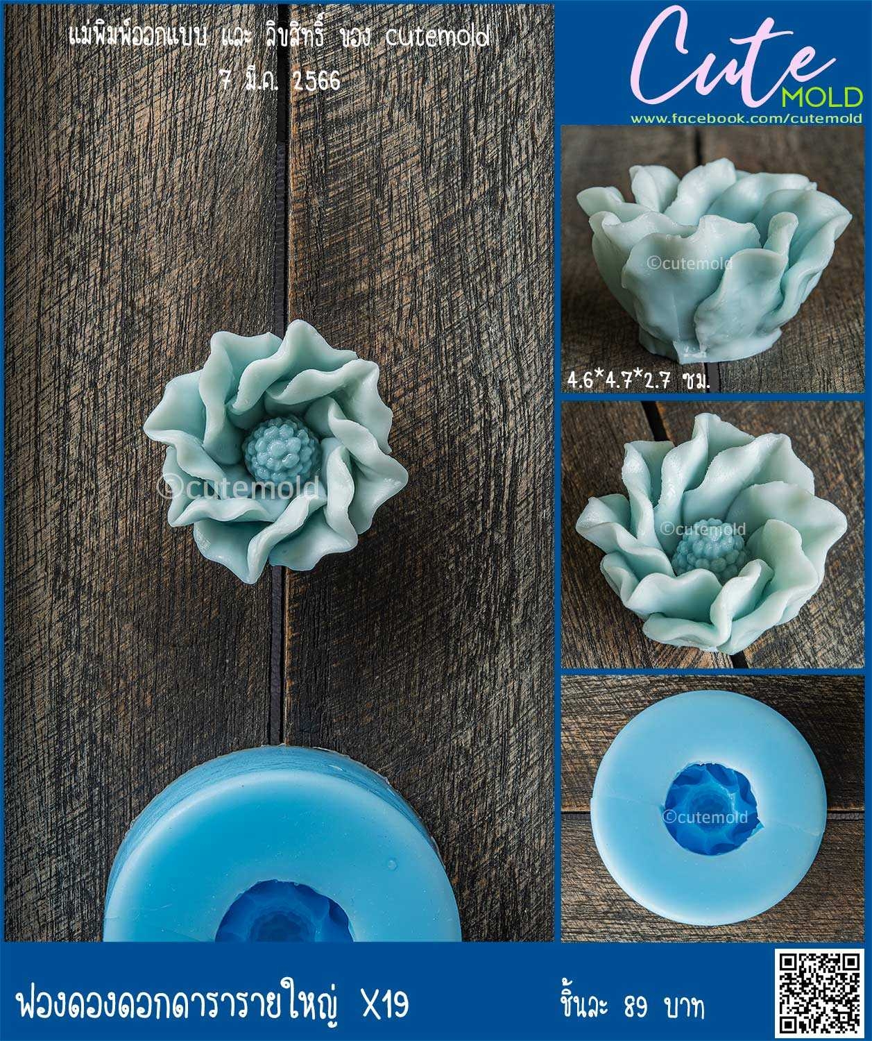 ฟองดองดอกดารารายใหญ่ X19