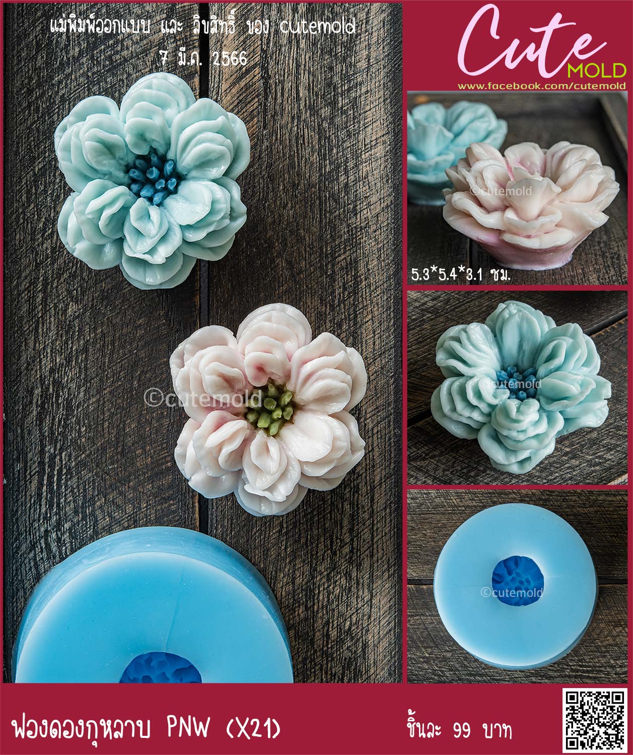 ฟองดองกุหลาบ PNW X21