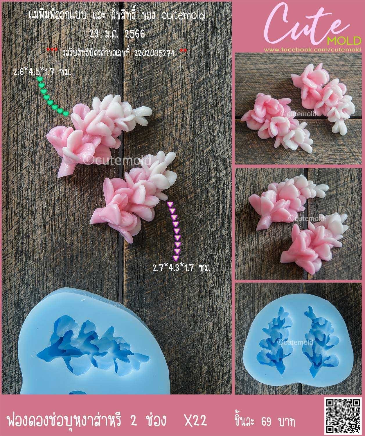 ฟองดองช่อบุหงาส่าหรี 2 ช่อง X22