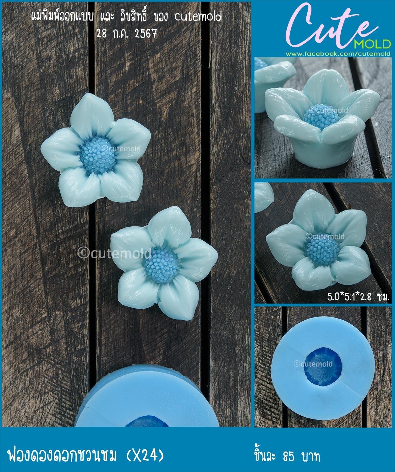 ฟองดองดอกชวนชม X24