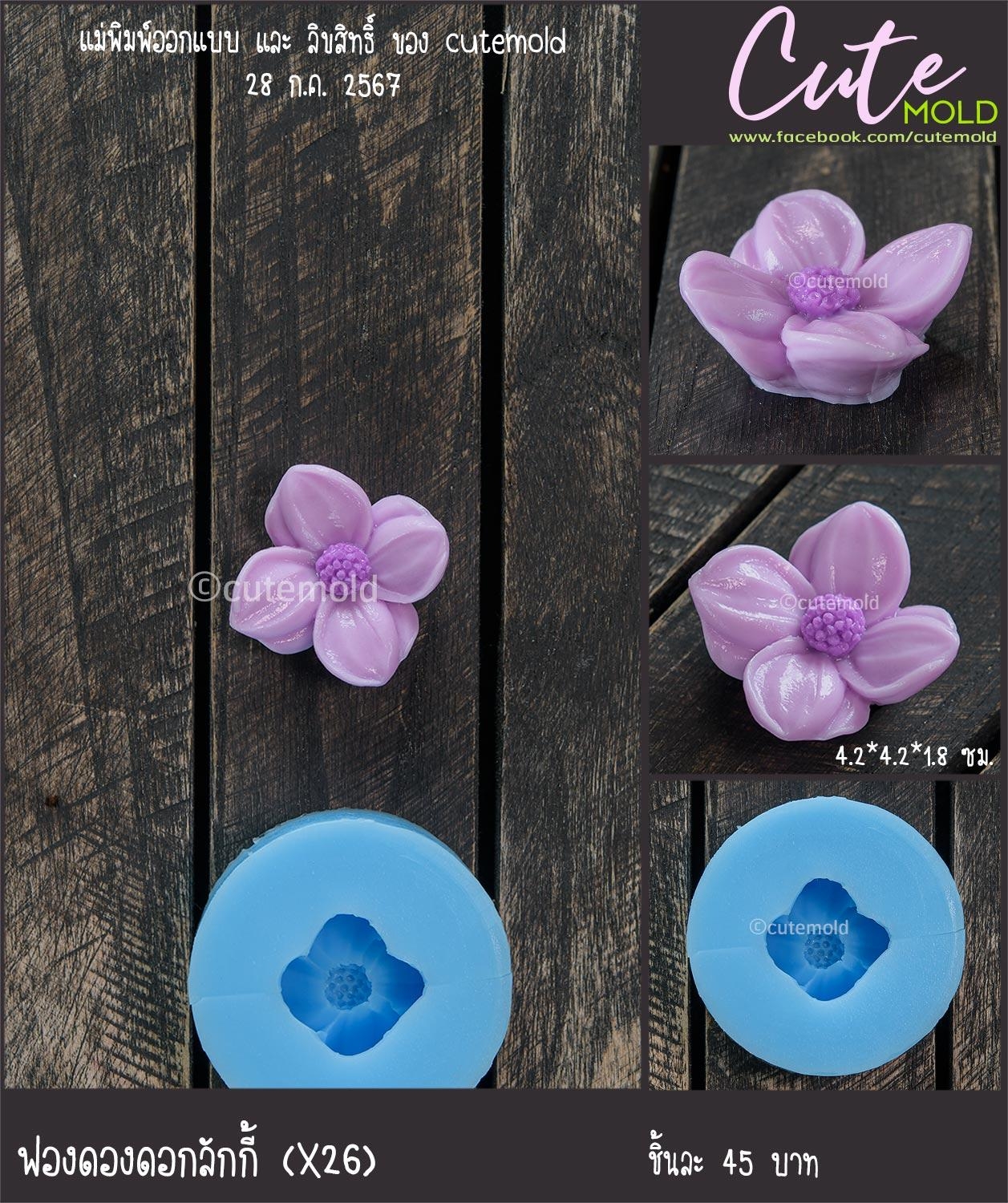 ฟองดองดอกลักกี้ X26