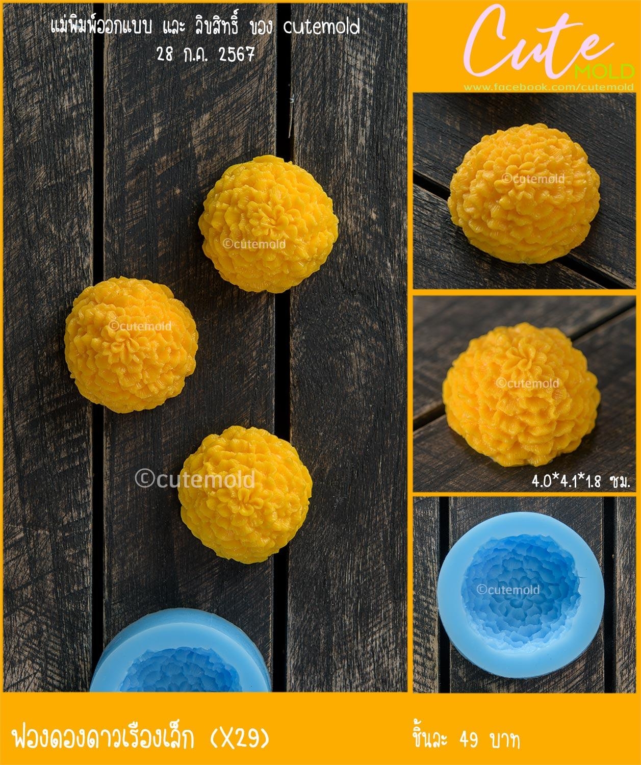 ฟองดองดอกดาวเรืองเล็ก X29