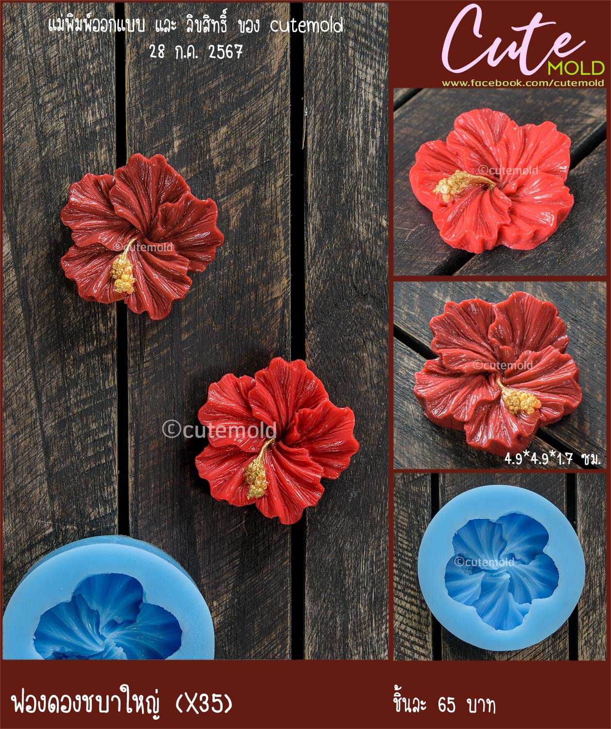 ฟองดองดอกชบาใหญ่ X35