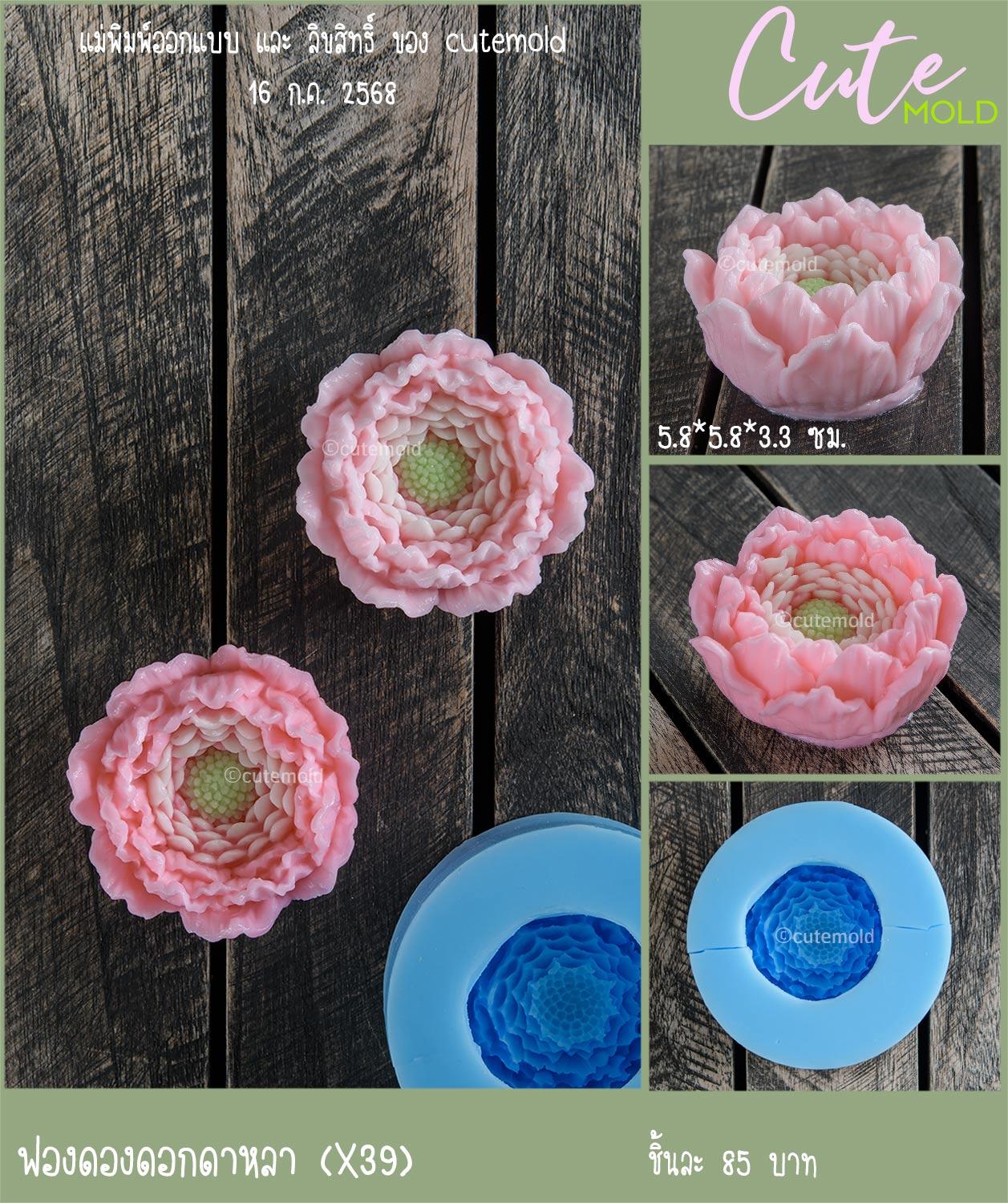 ฟองดองดอกดาหลา X39