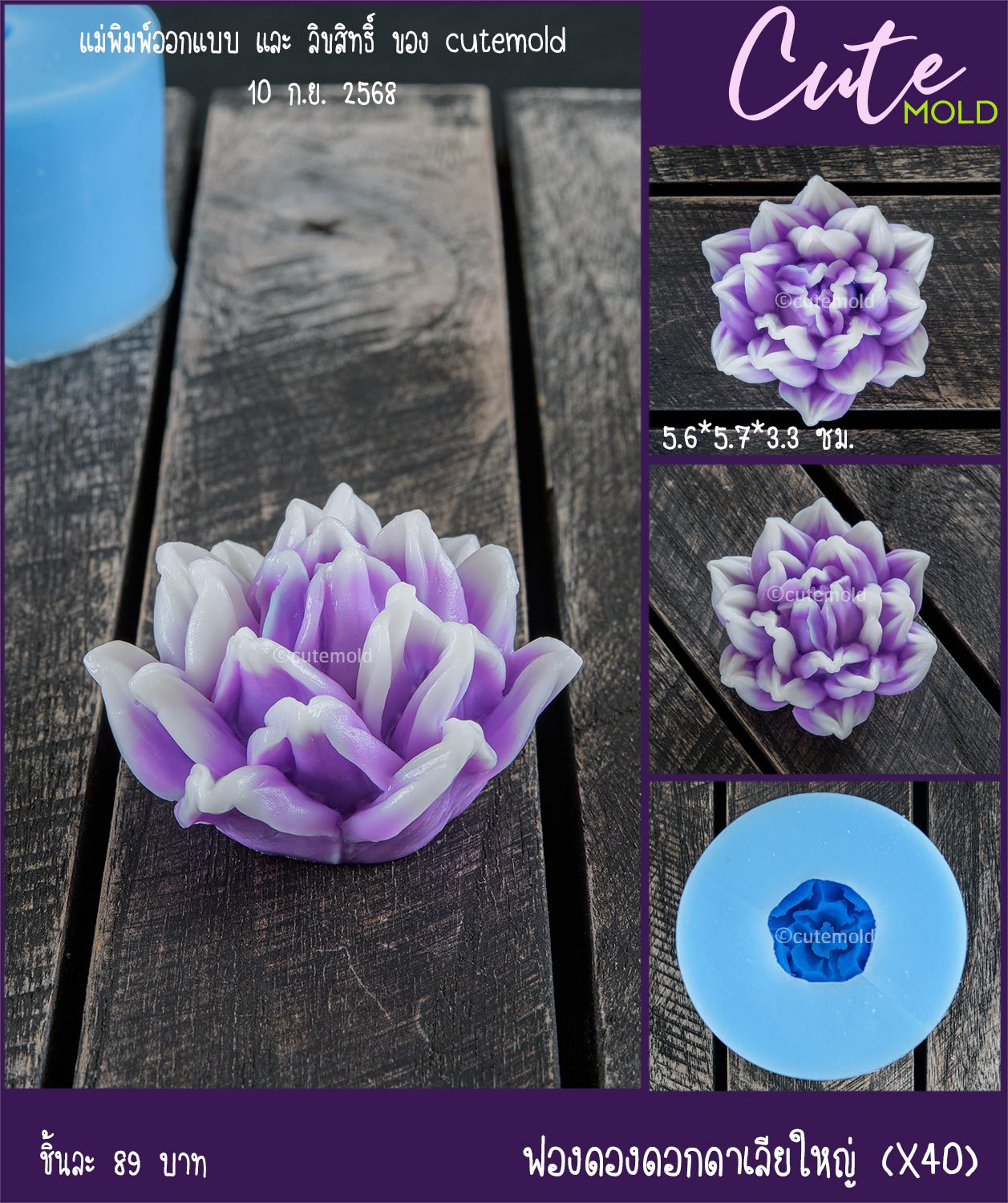 ฟองดองดอกดาเลียใหญ่ X40