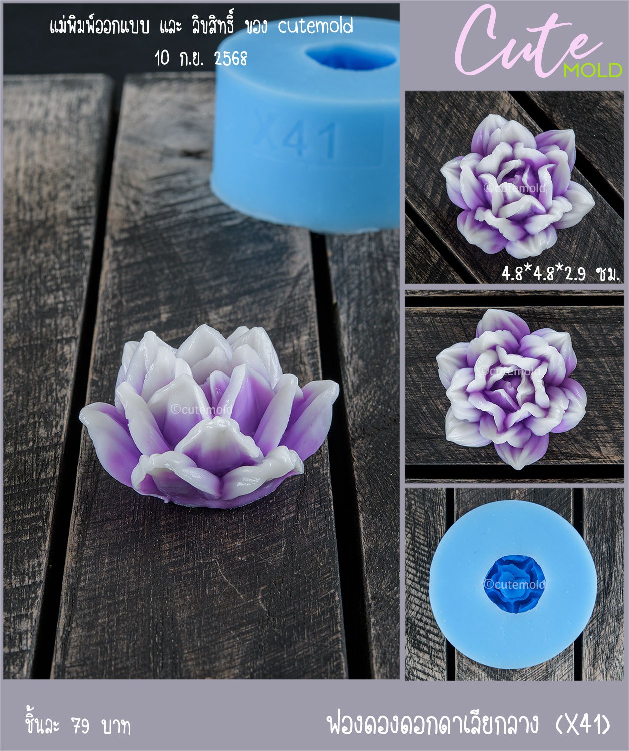 ฟองดองดอกดาเลียกลาง X41