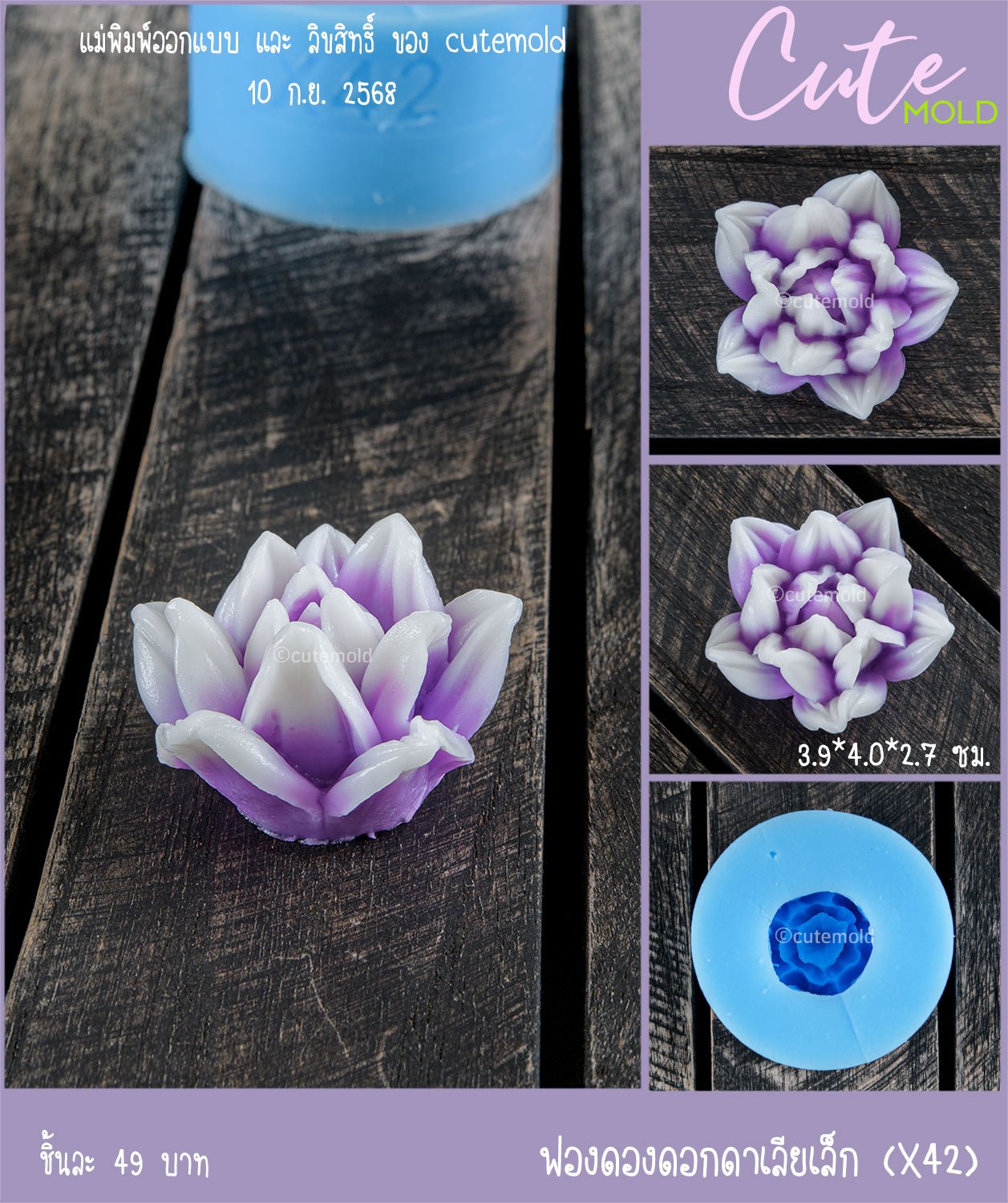 ฟองดองดอกดาเลียเล็ก X42