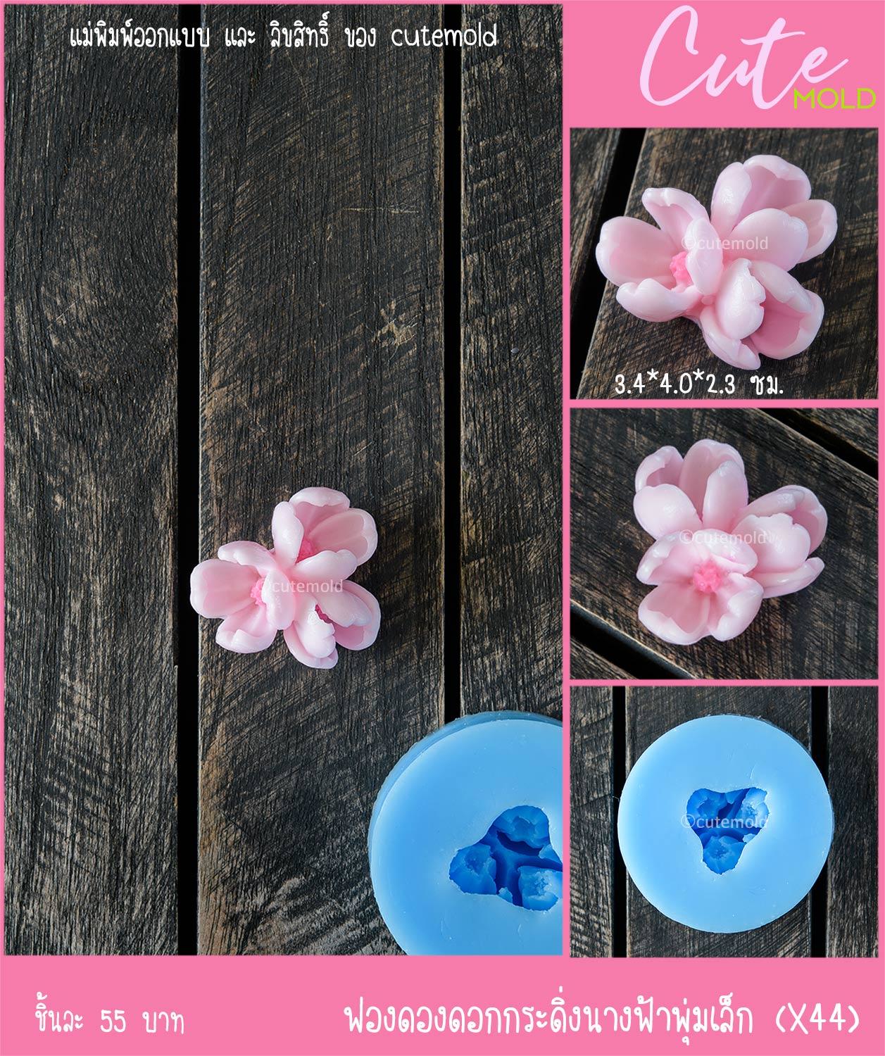 ฟองดองกระดิ่งนางฟ้าพุ่มเล็ก X44