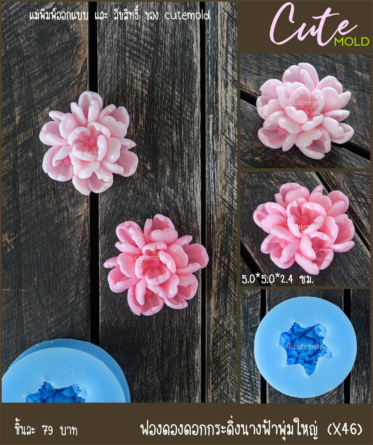 ฟองดองกระดิ่งนางฟ้าพุ่มใหญ่ X46