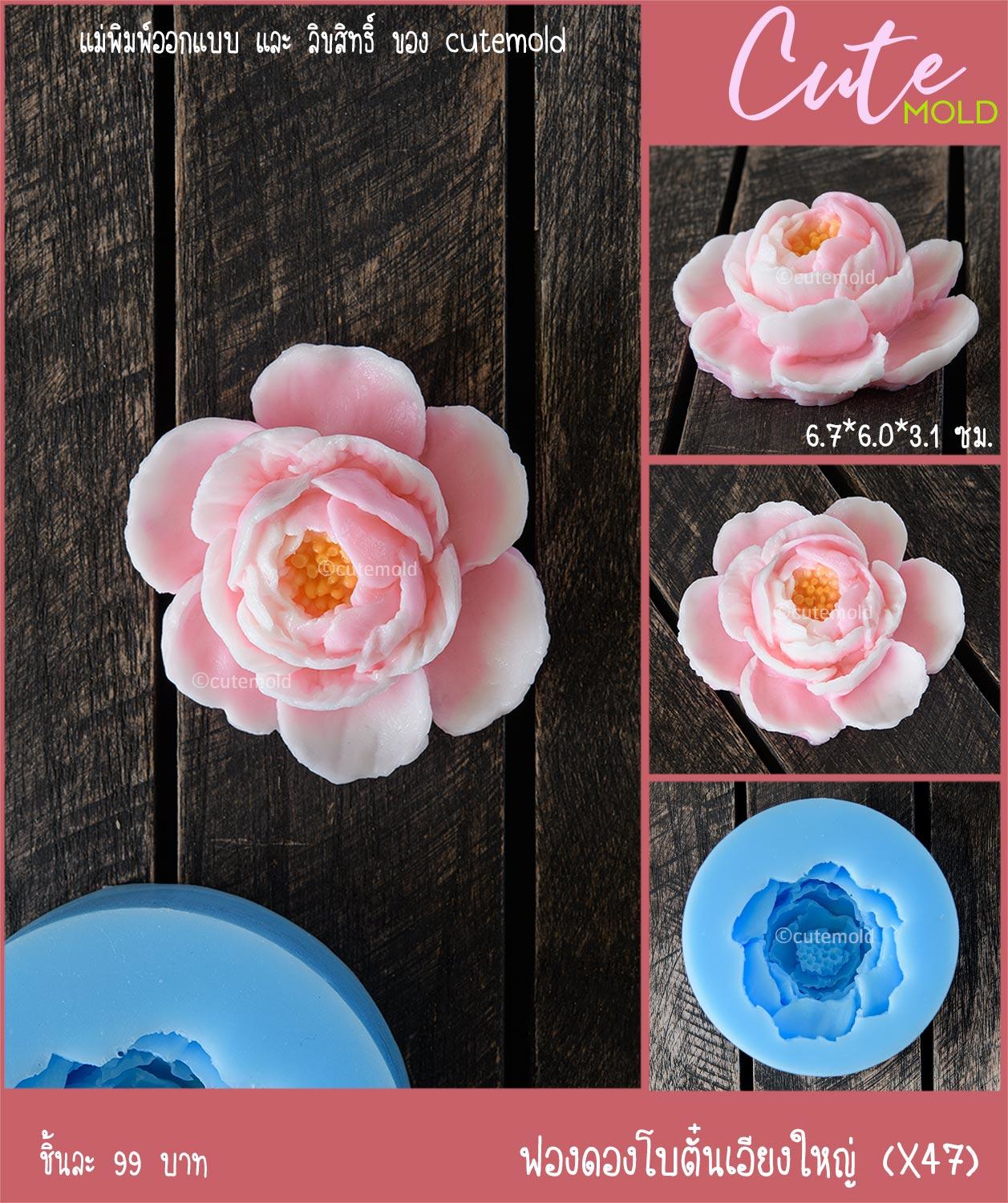 ฟองดองโบตั๋นเอียงใหญ่ X47