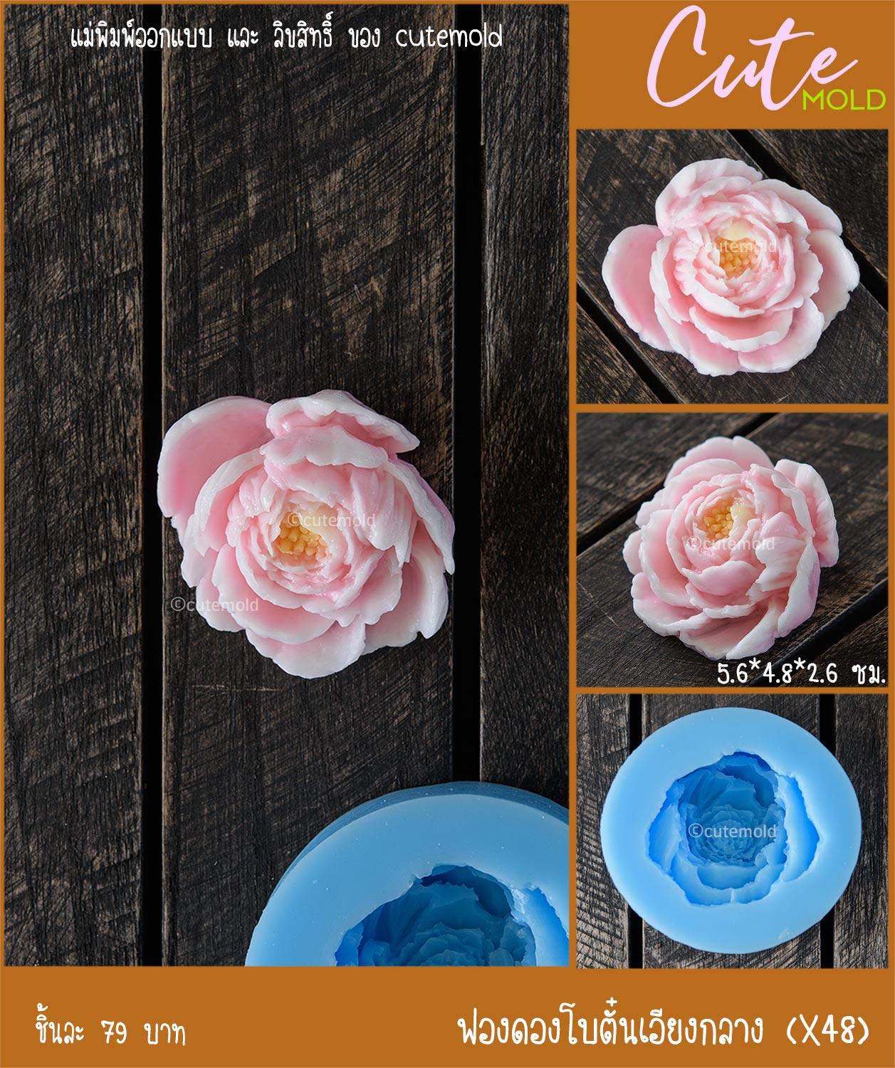 ฟองดองโบตั๋นเอียงกลาง X48