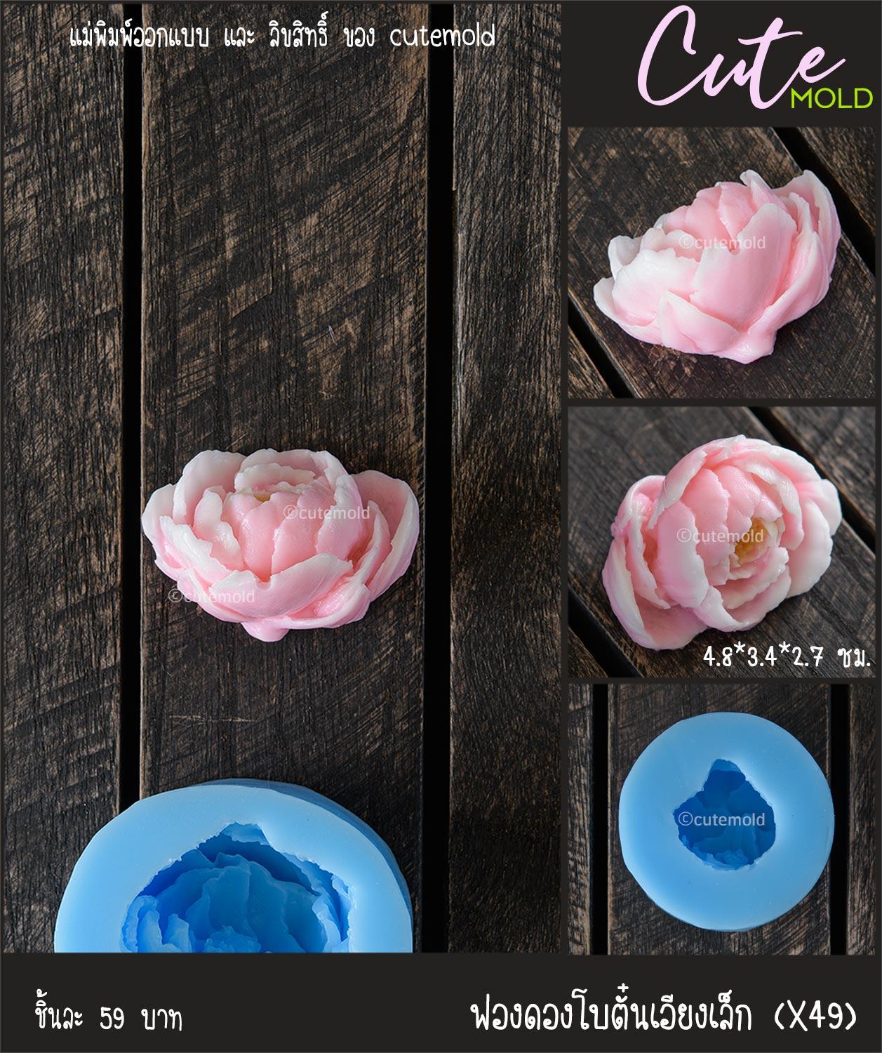 ฟองดองโบตั๋นเอียงเล็ก X49