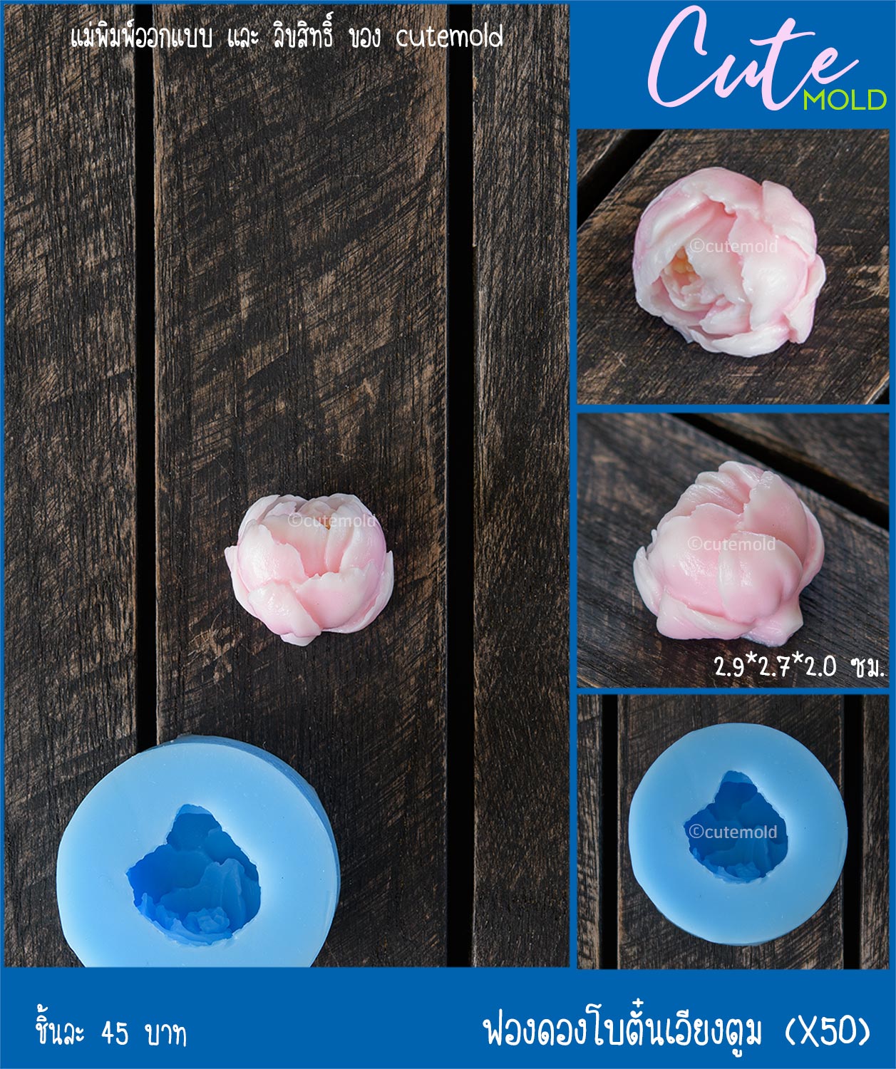 ฟองดองโบตั๋นเอียงตูม X50