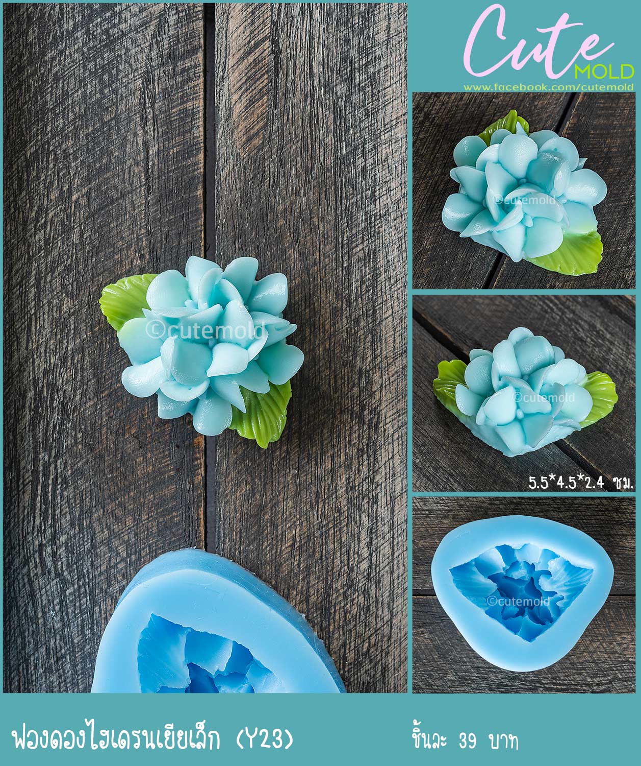 ฟองดองไฮเดรนเยียเล็ก Y23